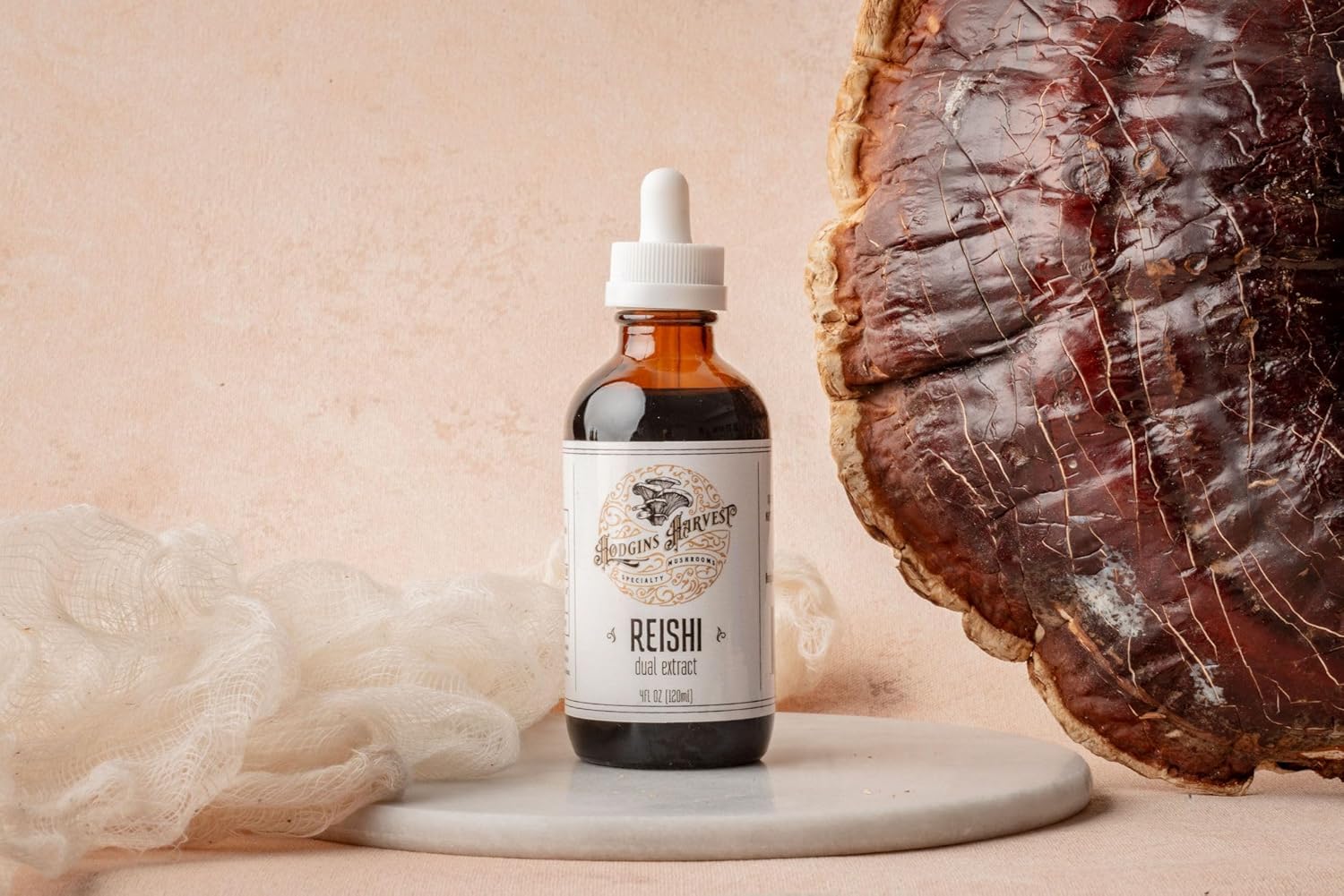 Organic Reishi Tincture | Dual Extract from USA-Grown Mushrooms | Extra-Concentrated 4 fl oz Bottle by Hodgins Harvest