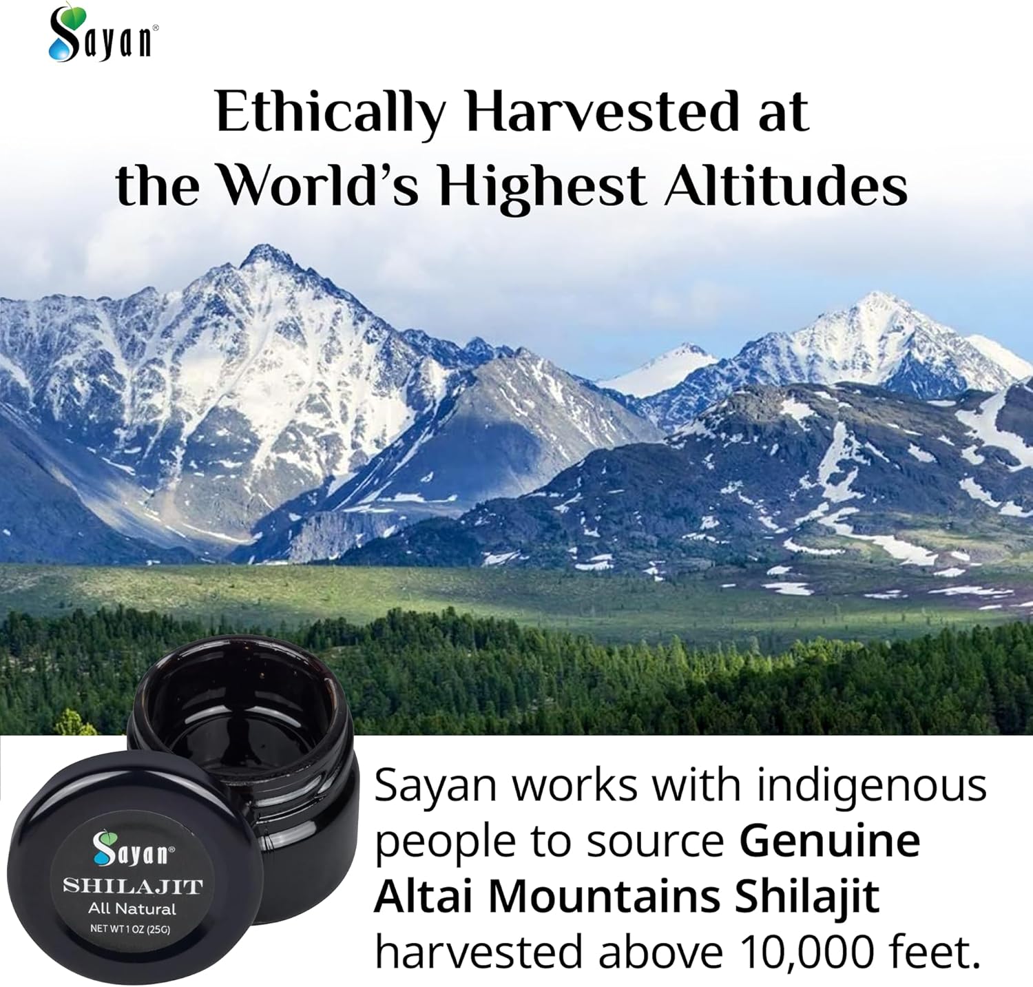 Organic Sayan Shilajit Resin 1oz Glass Jar - Potent Fulvic Acid Supplement for Immune Support, Memory, Focus, Energy, and Detox - Vegan, Non-GMO - 250 Servings