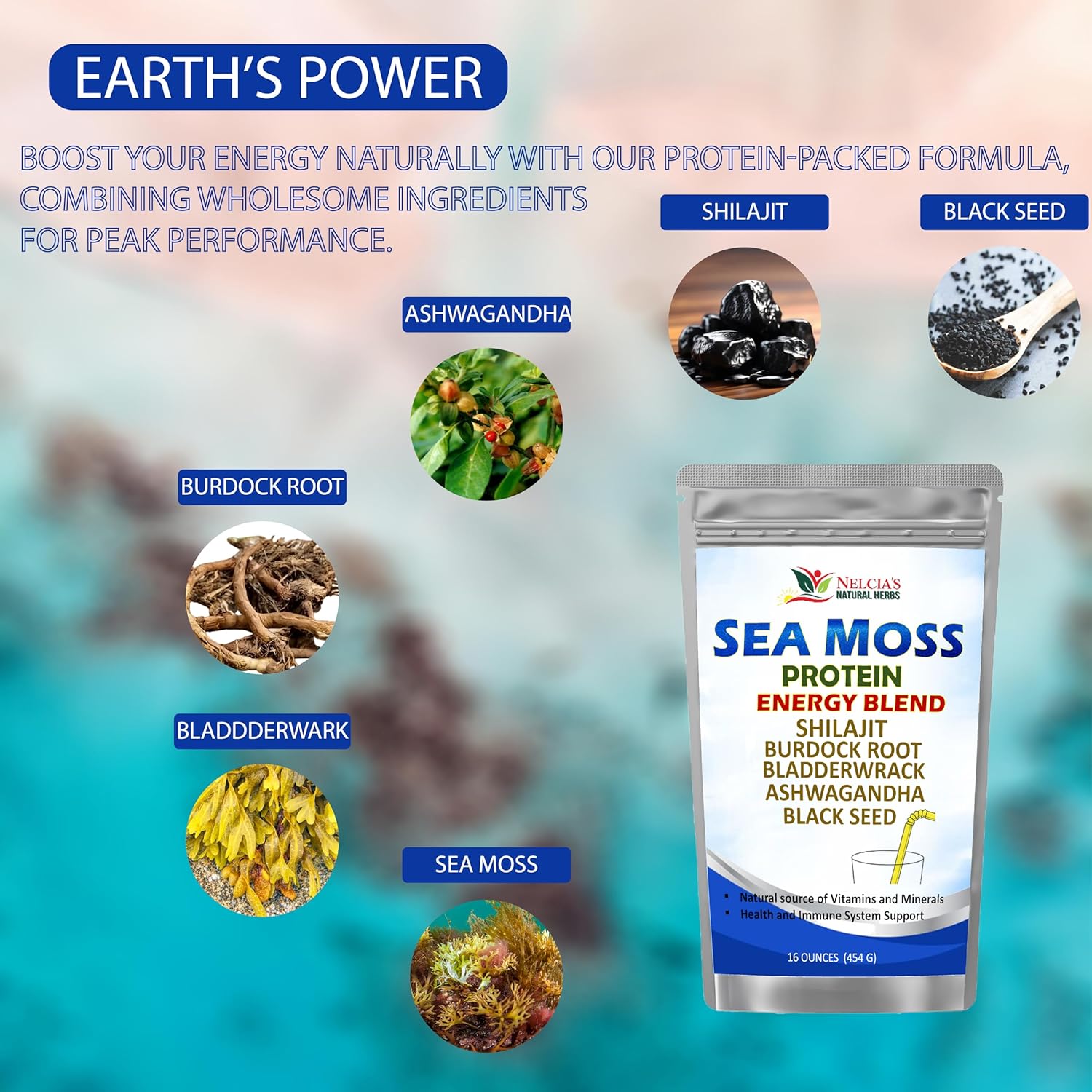 Organic Sea Moss Ashwagandha Protein Powder with Bladderwrack and Burdock Root, Black Seed, Shilajit - 16oz