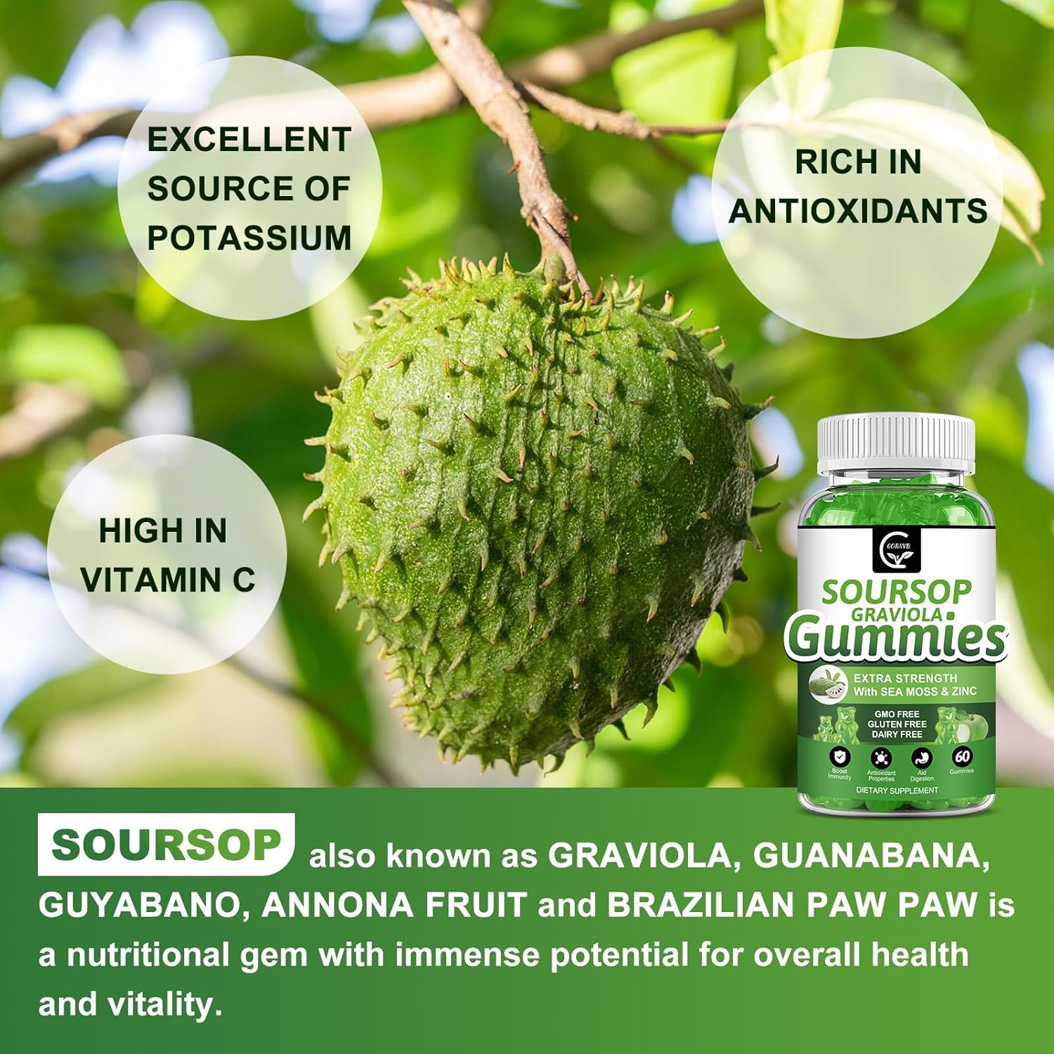 Organic Soursop Graviola Gummies - 2200mg Extra Strength with Sea Moss Extract, Zinc, Vitamin C - Immunity & Antioxidant Support, Gluten Free, Vegan - 60 Gummies