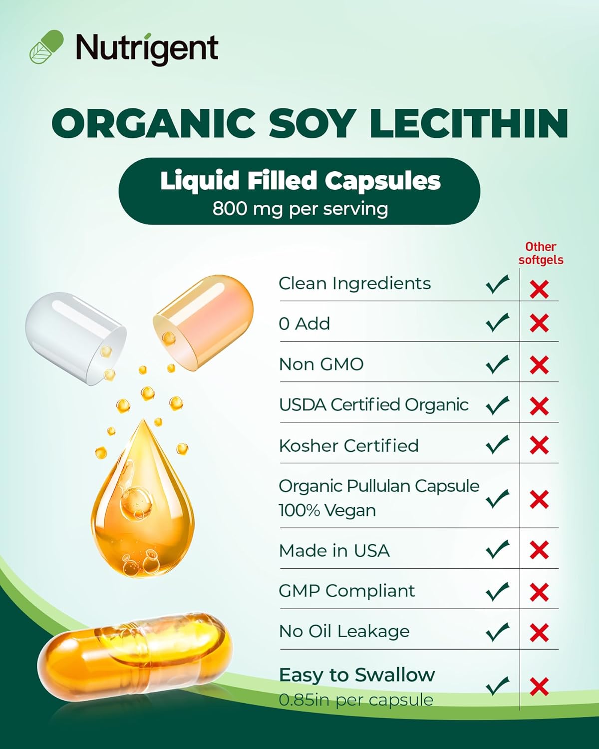 Organic Soy Lecithin Supplement 800mg - Brain & Liver Health Support - Non-GMO - Gluten Free - 60 Count