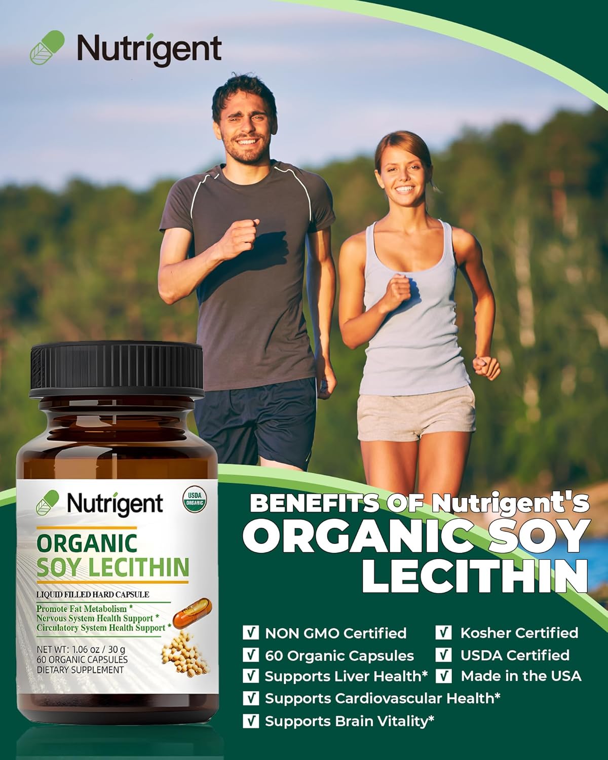 Organic Soy Lecithin Supplement 800mg - Brain & Liver Health Support - Non-GMO - Gluten Free - 60 Count