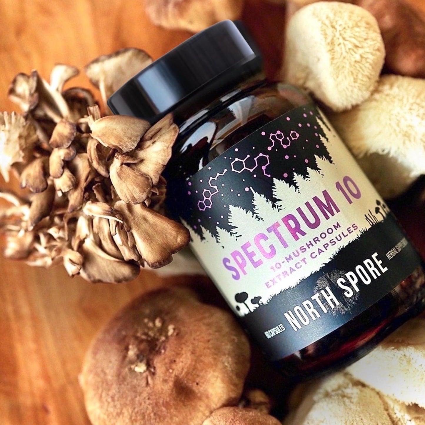 Organic 'Spectrum 10' Mushroom Capsules | Cognitive Supplement with 10 Medicinal Mushrooms | Energy, Focus, Clarity - 60ct