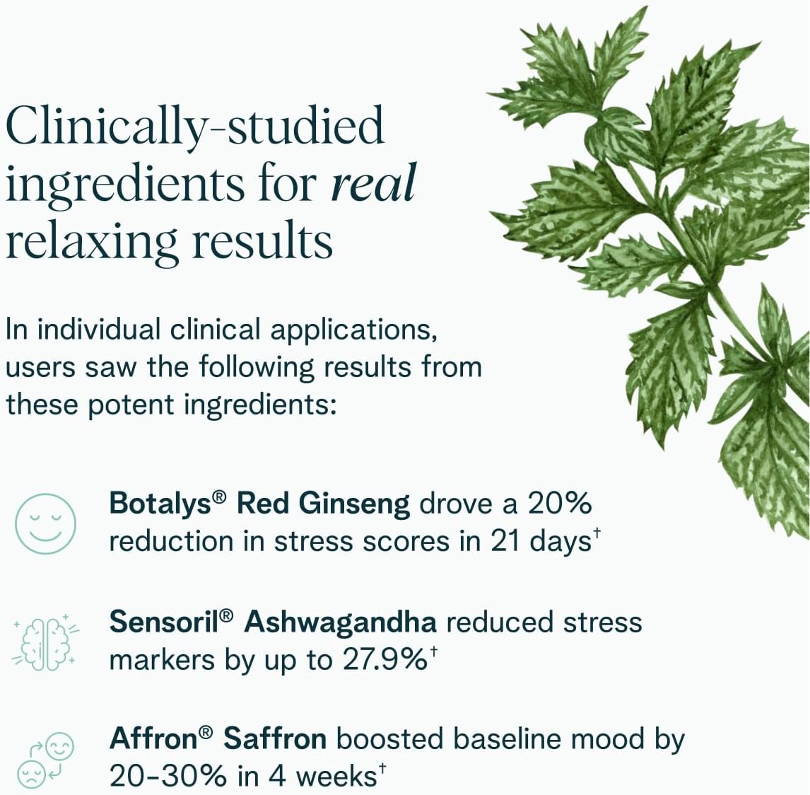 Organic Stress Relief Supplement for Calm & Mental Focus - Sensoril Ashwagandha, Saffron, Ginseng - 60 Capsules