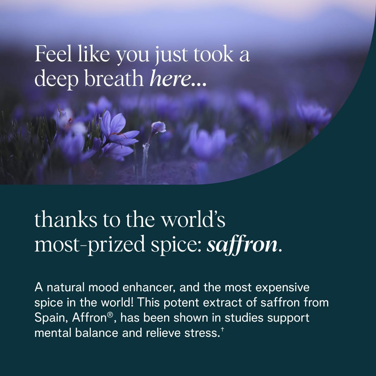 Organic Stress Relief Supplement for Calm & Mental Focus - Sensoril Ashwagandha, Saffron, Ginseng - 60 Capsules