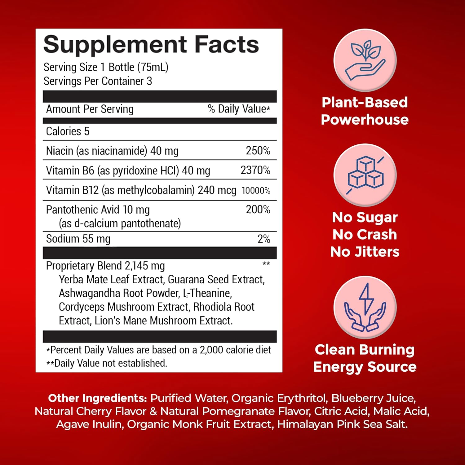 Organic Sugar-Free Energy Shots with Vitamin B12 and Plant-Based Ingredients - Cherry Pomegranate Flavor - 12 Pack