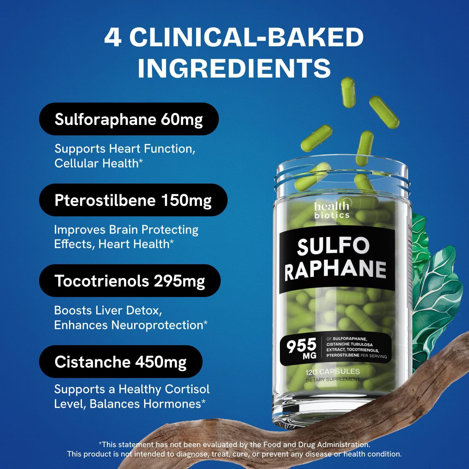 Organic Sulforaphane Supplement with Broccoli Sprouts, Seeds, and Florets | Stabilized Glucosinolate | 240 Pills for Kids & Adults | 2 Pack Offering