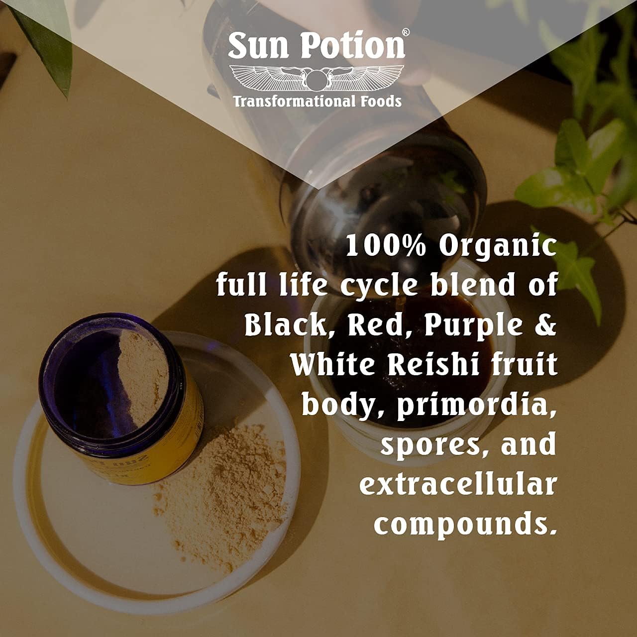 Organic Sun Potion Reishi Mushroom Powder - 100g Packet