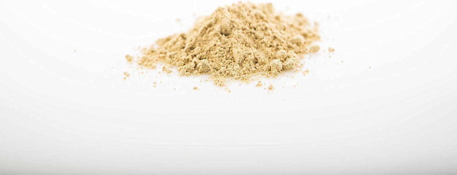 Organic Sun Potion Reishi Mushroom Powder - 100g Packet