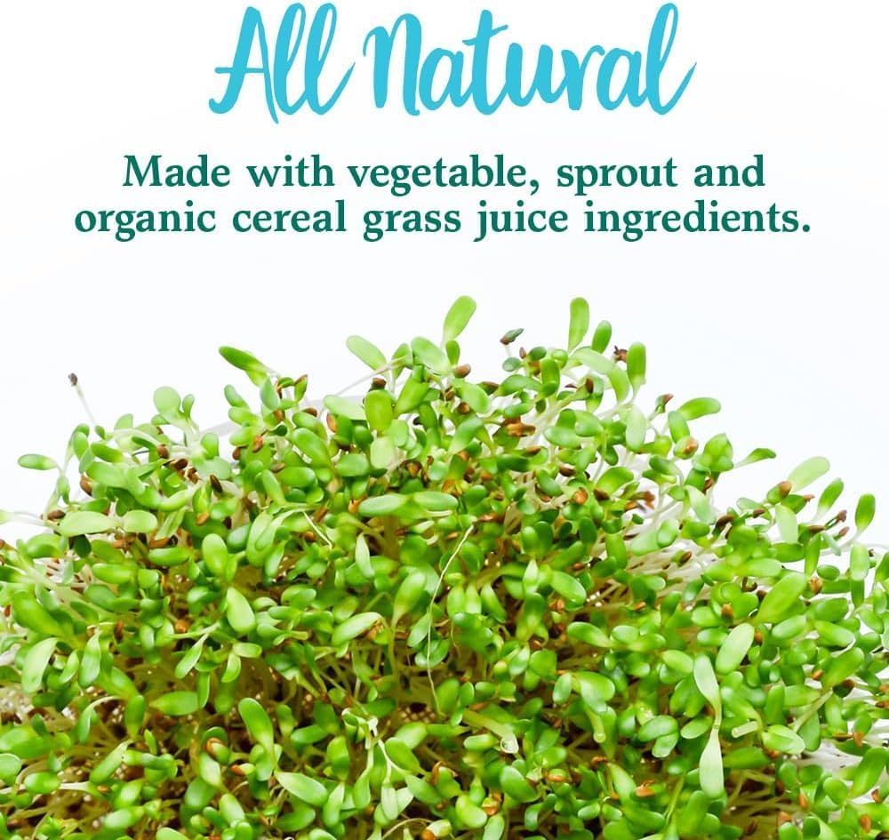 Organic Super Green Formula Powder Supplement with Probiotics - 14 Servings, 45 Superfoods, Greens, Fruits & Veggies, Immune & Digestive Support
