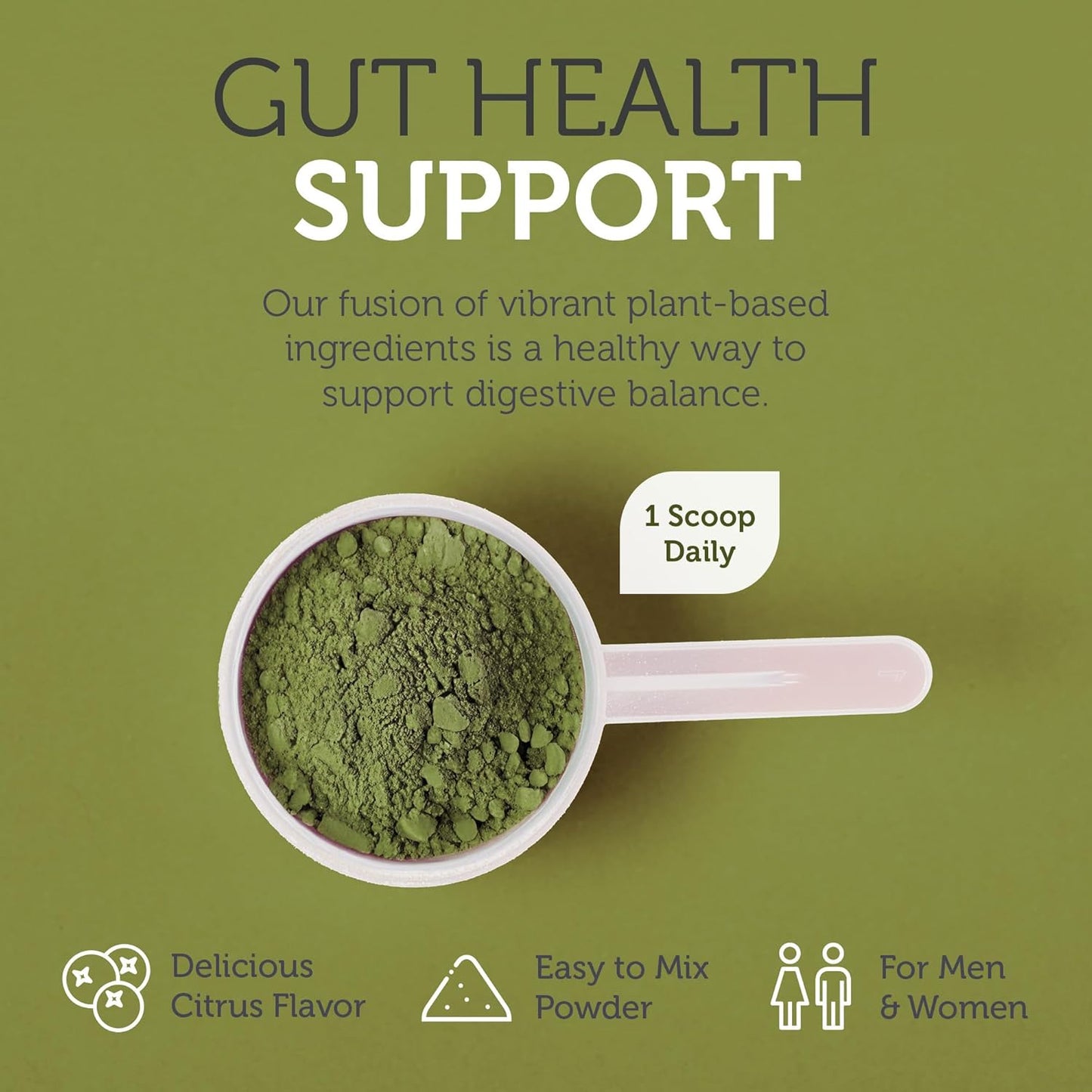 Organic Super Greens Powder with Spirulina & Chlorella - Kosher Non GMO Citrus Green Juice Powder, Phytonutrient Rich & Delicious