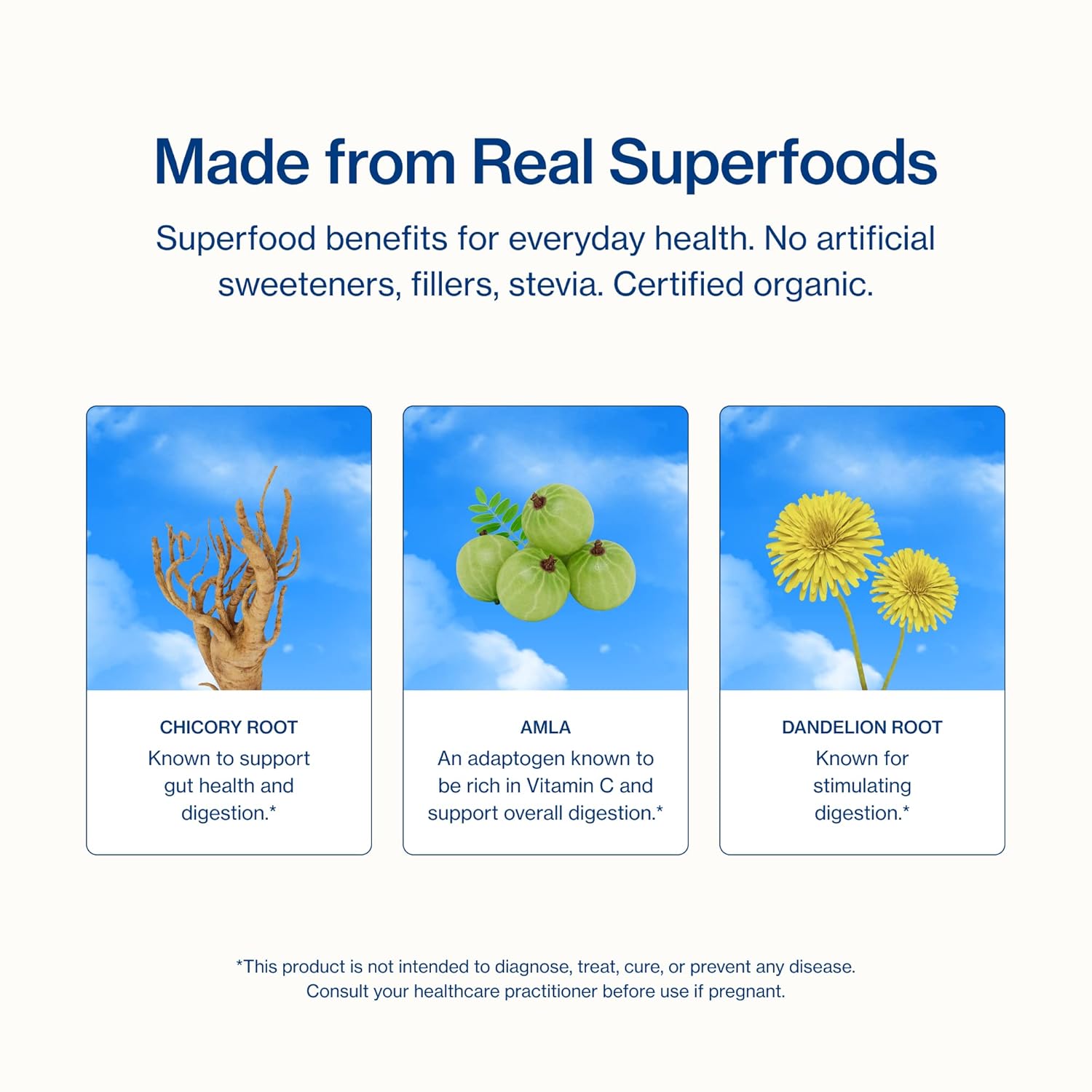 Organic Superfood Lemonade Powder for Digestive Health | Detox & Debloat | Chicory Root, Amla, Dandelion | 4.2oz, 20 Servings