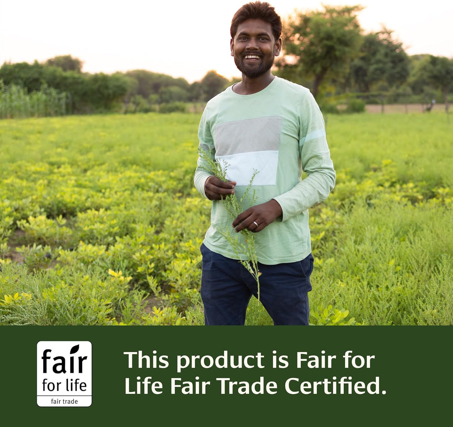 Organic Total Body Cleanse Supplement with Amla & Manjistha for Healthy Digestion - 90 Tablets