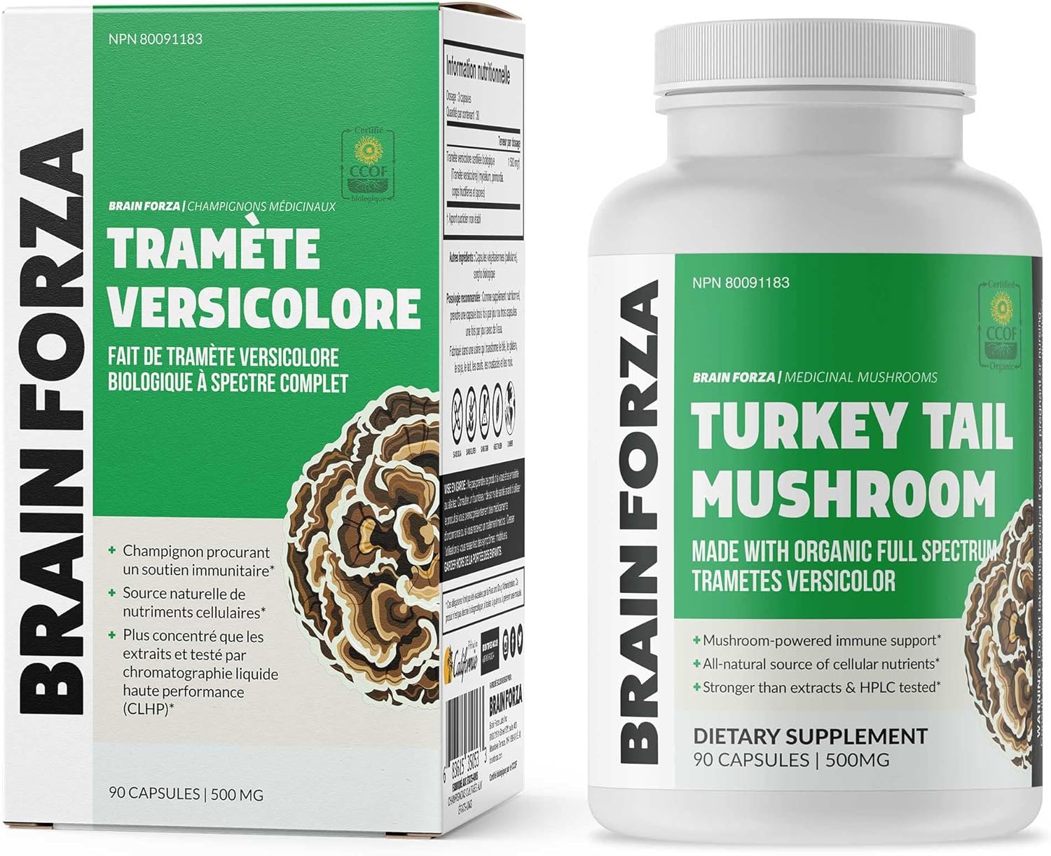 Organic Turkey Tail Mushroom Capsules for Immune, Liver & Digestive Health | Non-GMO, Vegan, 90 Capsules