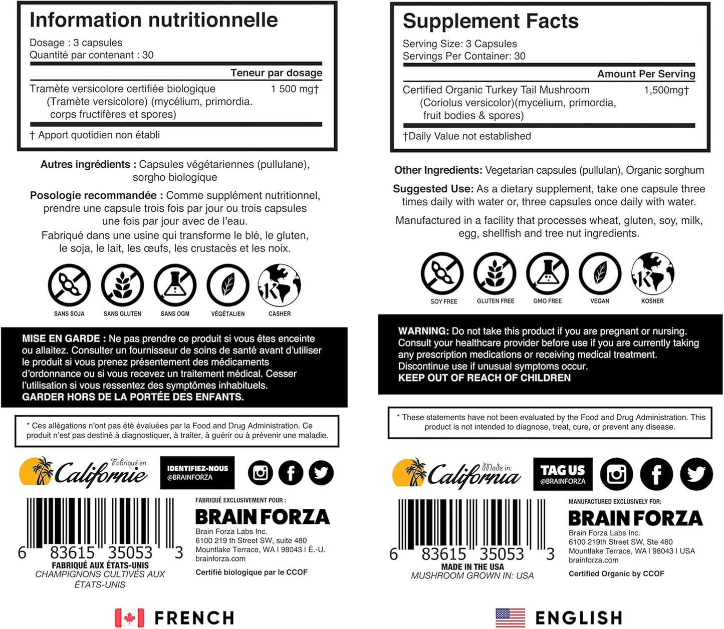 Organic Turkey Tail Mushroom Capsules for Immune, Liver & Digestive Health | Non-GMO, Vegan, 90 Capsules