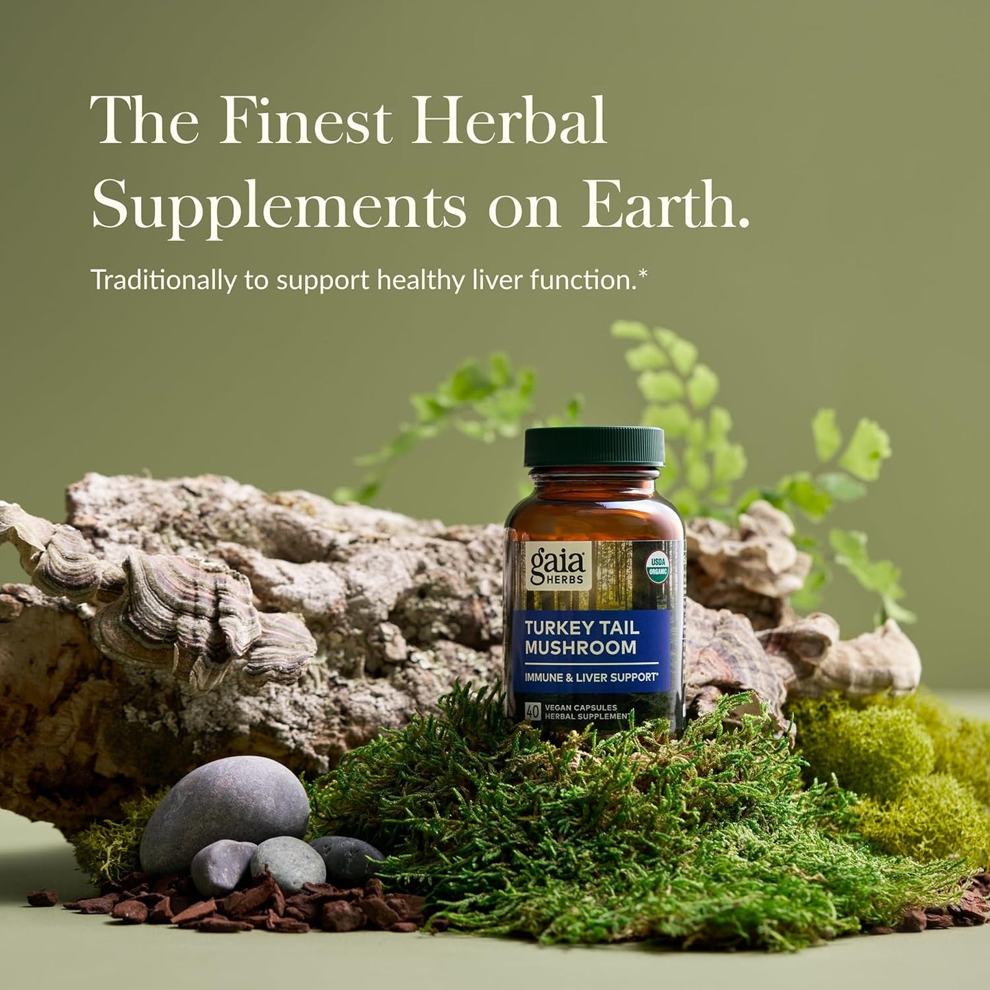 Organic Turkey Tail Mushroom Immune Support Supplement for Liver Health - 40 Vegan Capsules