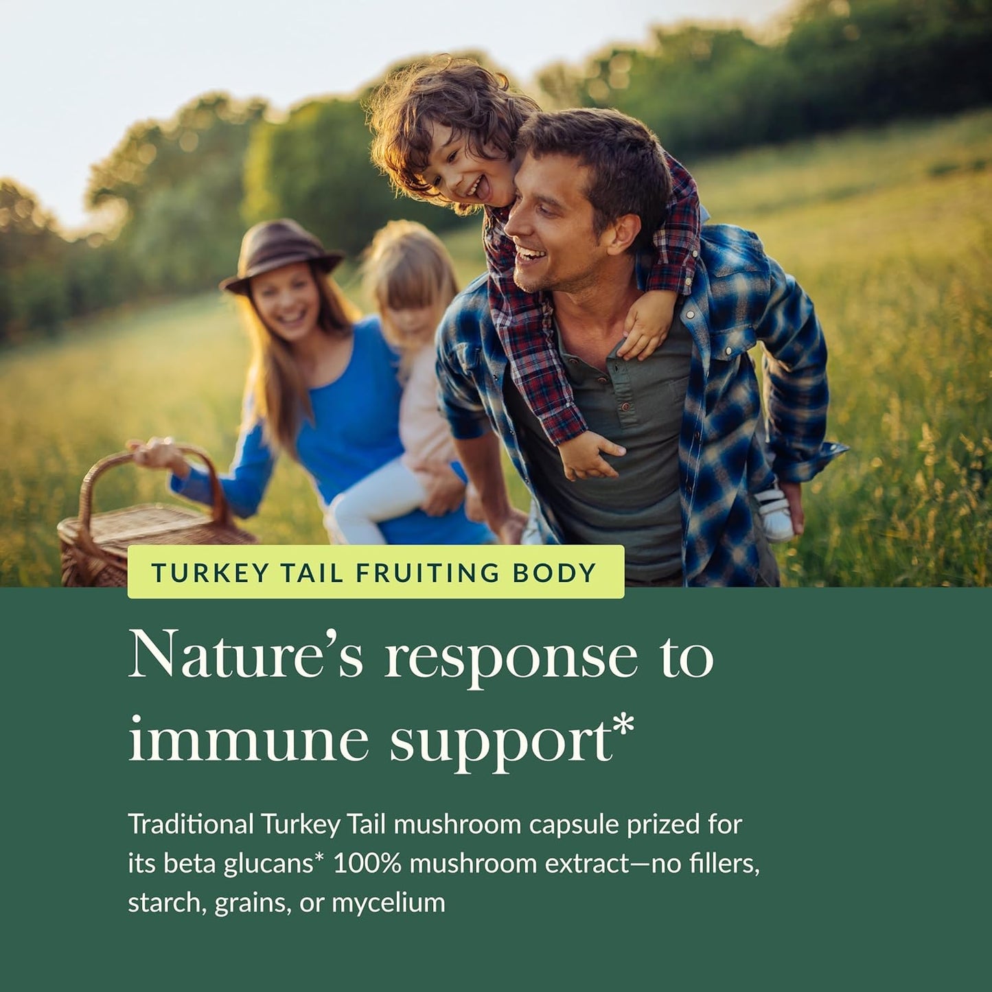 Organic Turkey Tail Mushroom Immune Support Supplement for Liver Health - 40 Vegan Capsules