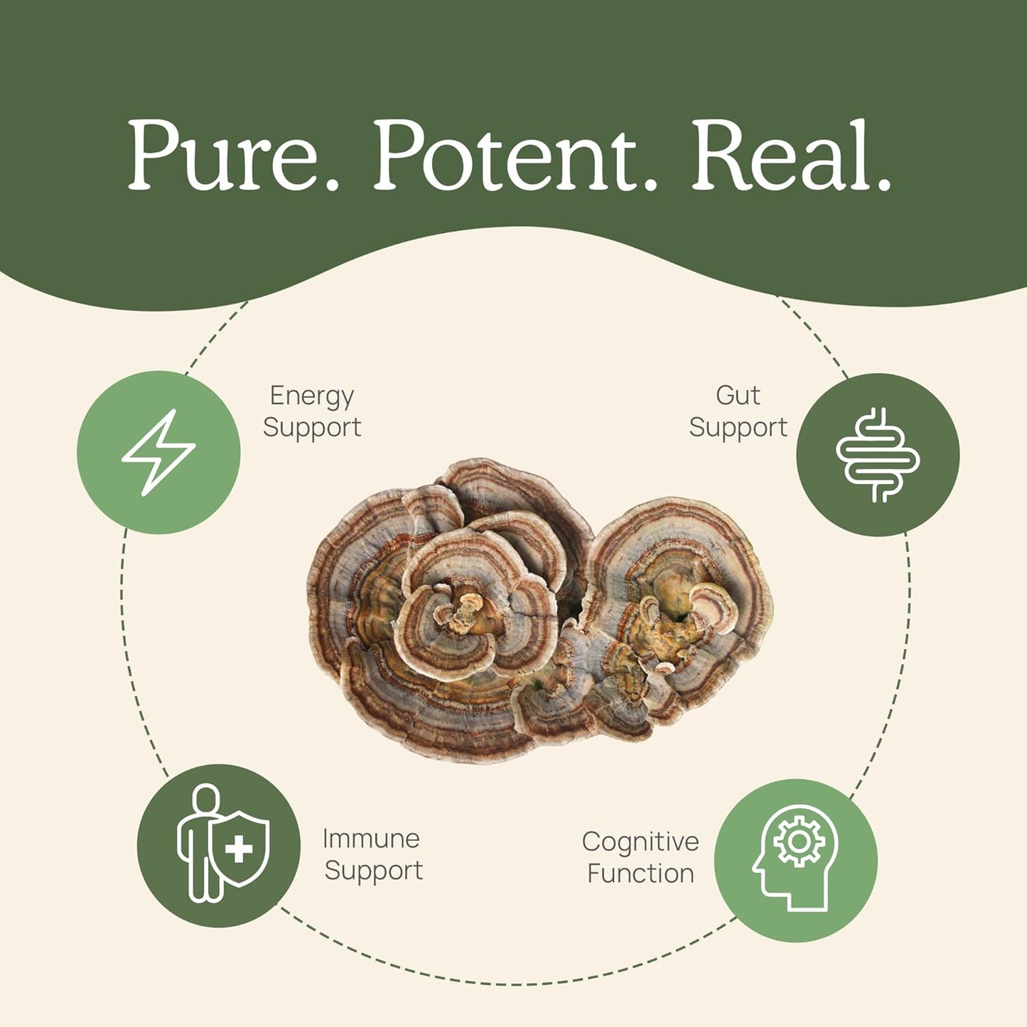 Organic Turkey Tail Mushroom Powder - Potent Gut, Energy, Brain, Immune Support Supplement - Vegan, Non-GMO - 100 Servings