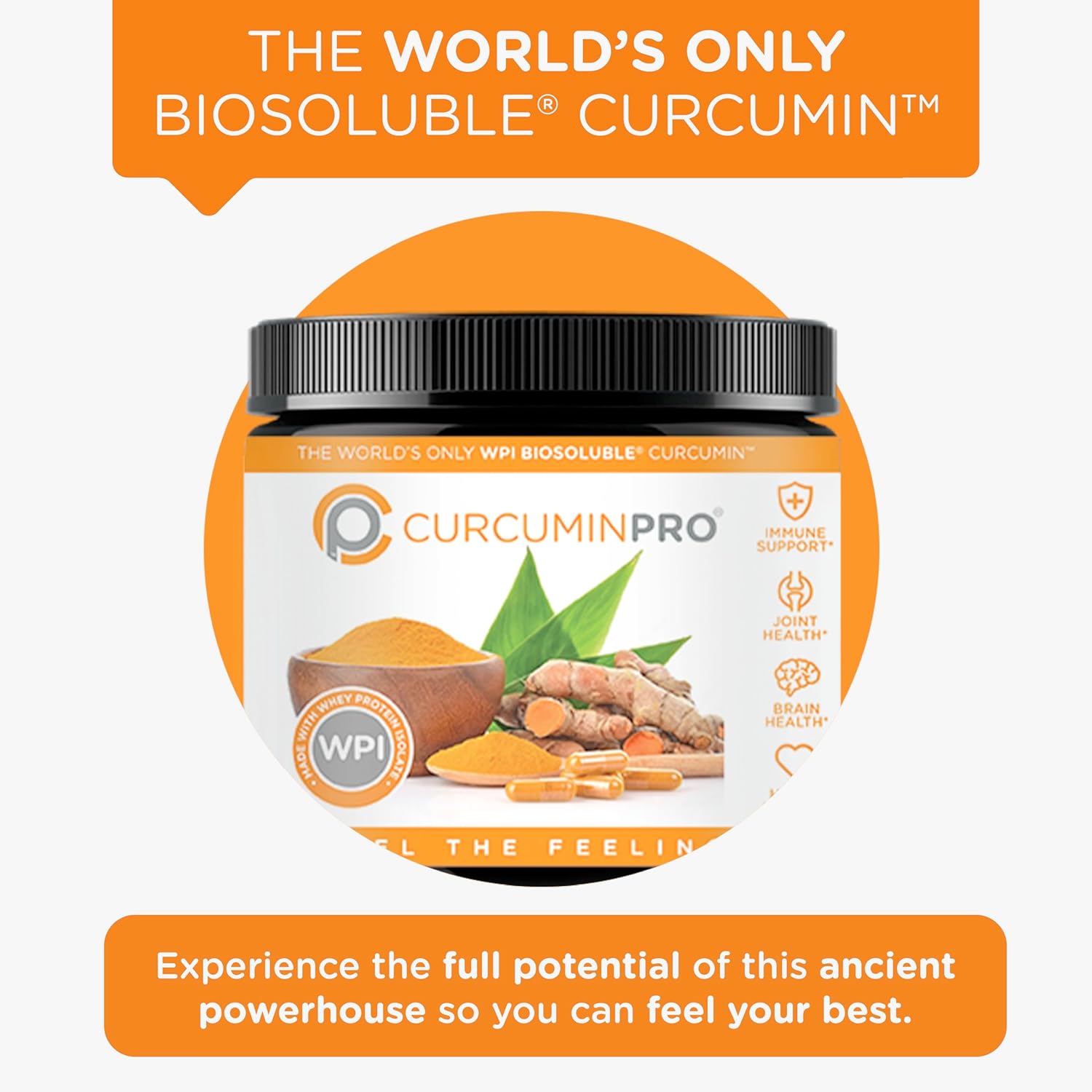 Organic Turmeric BioSoluble Curcumin Bulk Powder for Joint & Muscle Support - 90g