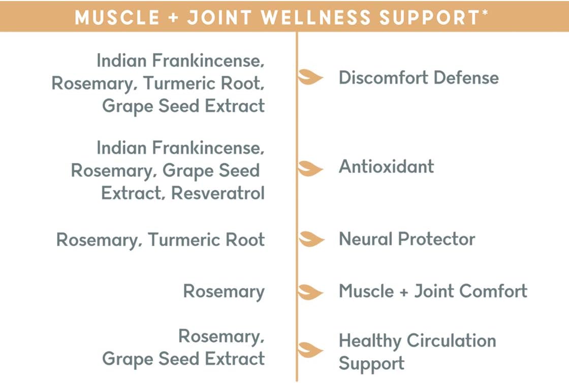 Organic Turmeric Curcumin Supplement for Stress Relief - Joint & Muscle Support with Resveratrol, Frankincense, and Rosemary - 90 Capsules