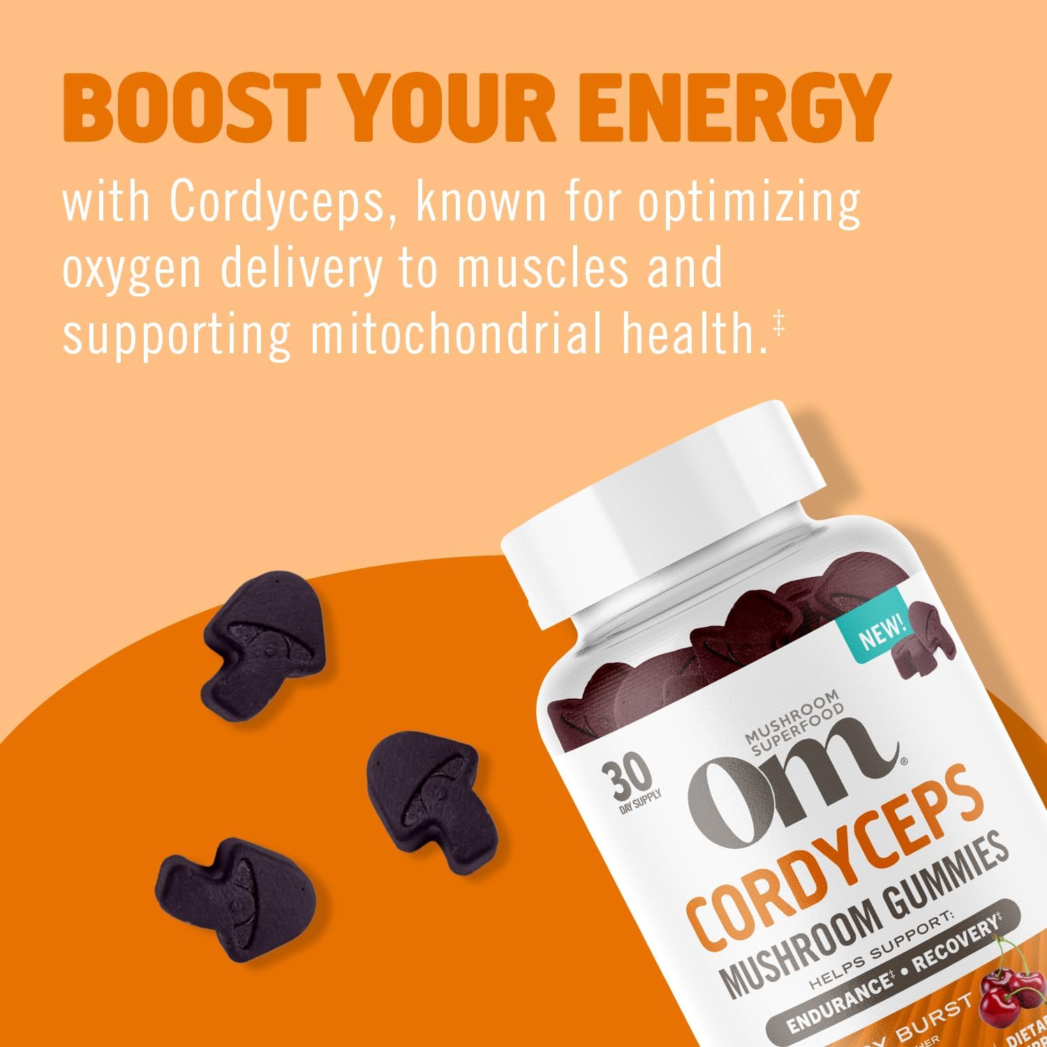 Organic USA Grown OM Mushroom Cordyceps Gummies - 60 Count, 30 Servings - Energy, Endurance, Recovery Support