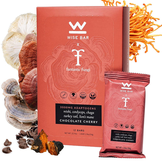 Organic Vegan Adaptogen Mushroom Nutrition Bars for Natural Focus & Energy, Gluten-Free Snacks with Reishi, Lions Mane, Ashwagandha, Chocolate Cherry Flavor - 12 Count