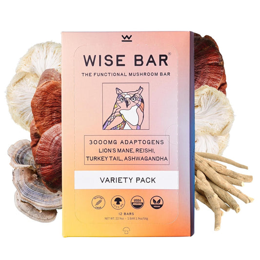 Organic Vegan Adaptogen Mushroom Nutrition Bars with Reishi, Lions Mane & Ashwagandha - Gluten Free Snacks for Focus, Energy & Immunity - Variety Flavor Pack, 12 Count