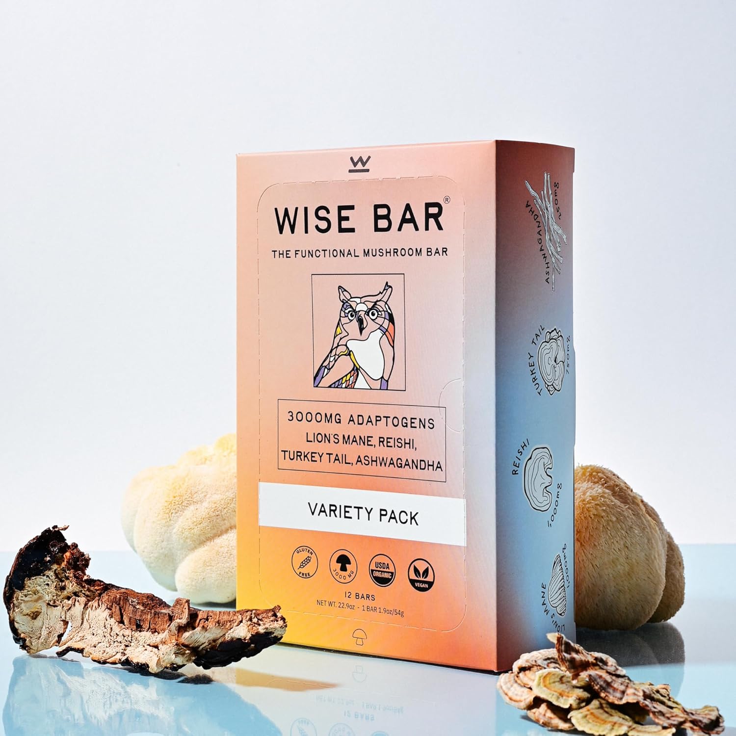 Organic Vegan Adaptogen Mushroom Nutrition Bars with Reishi, Lions Mane & Ashwagandha - Gluten Free Snacks for Focus, Energy & Immunity - Variety Flavor Pack, 12 Count