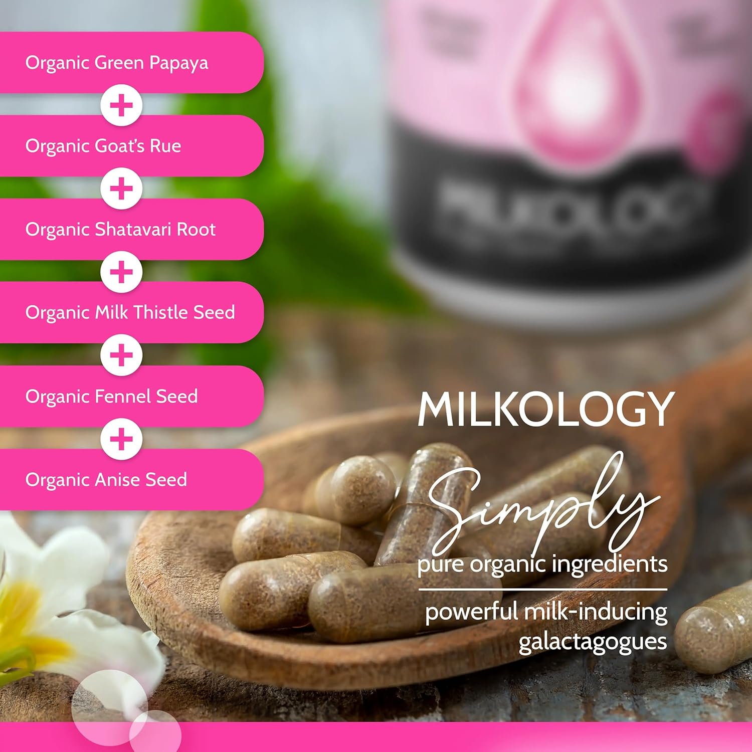 Organic Vegan Breast Milk Supplement for Increased Supply - 60 Capsules