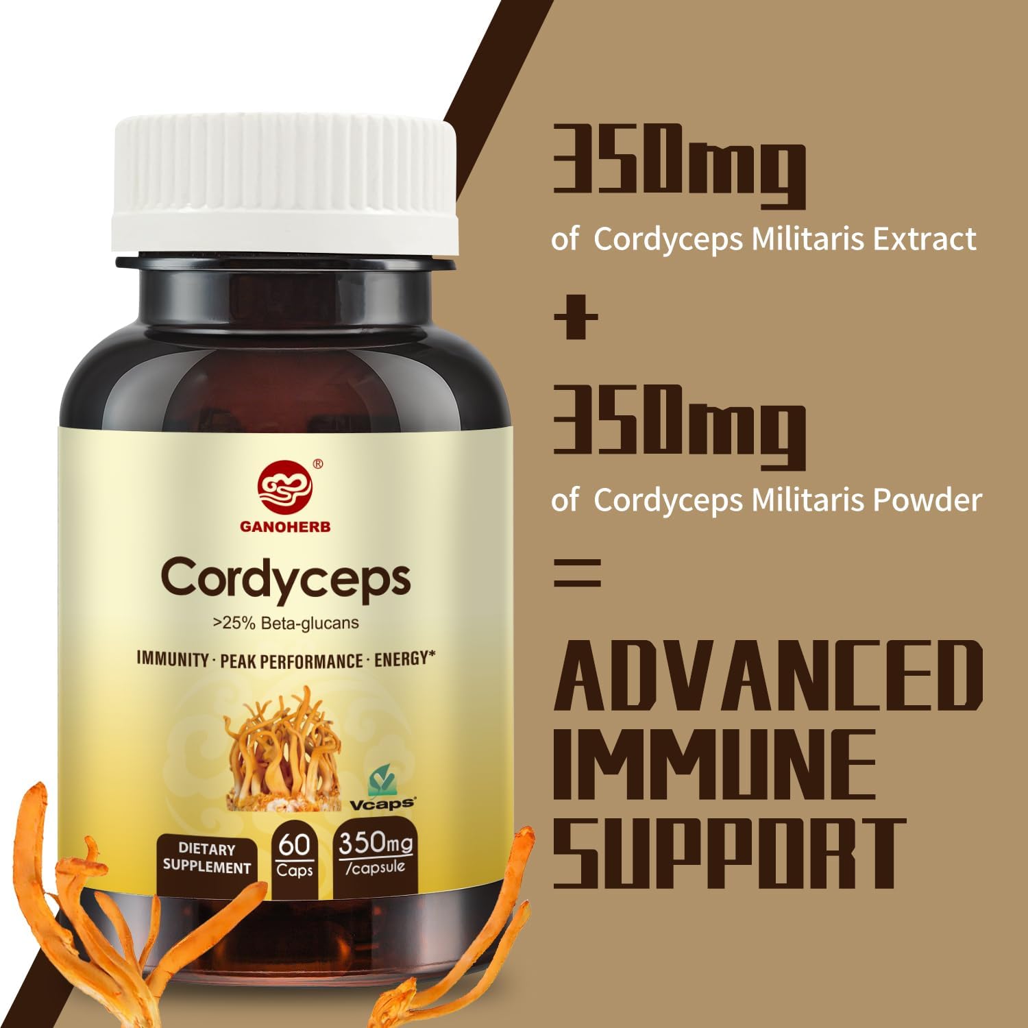 Organic Vegan Cordyceps Capsules with 31% Beta Glucan for Energy & Immune Support - 60 Count, 700mg Mushroom Extract Supplement