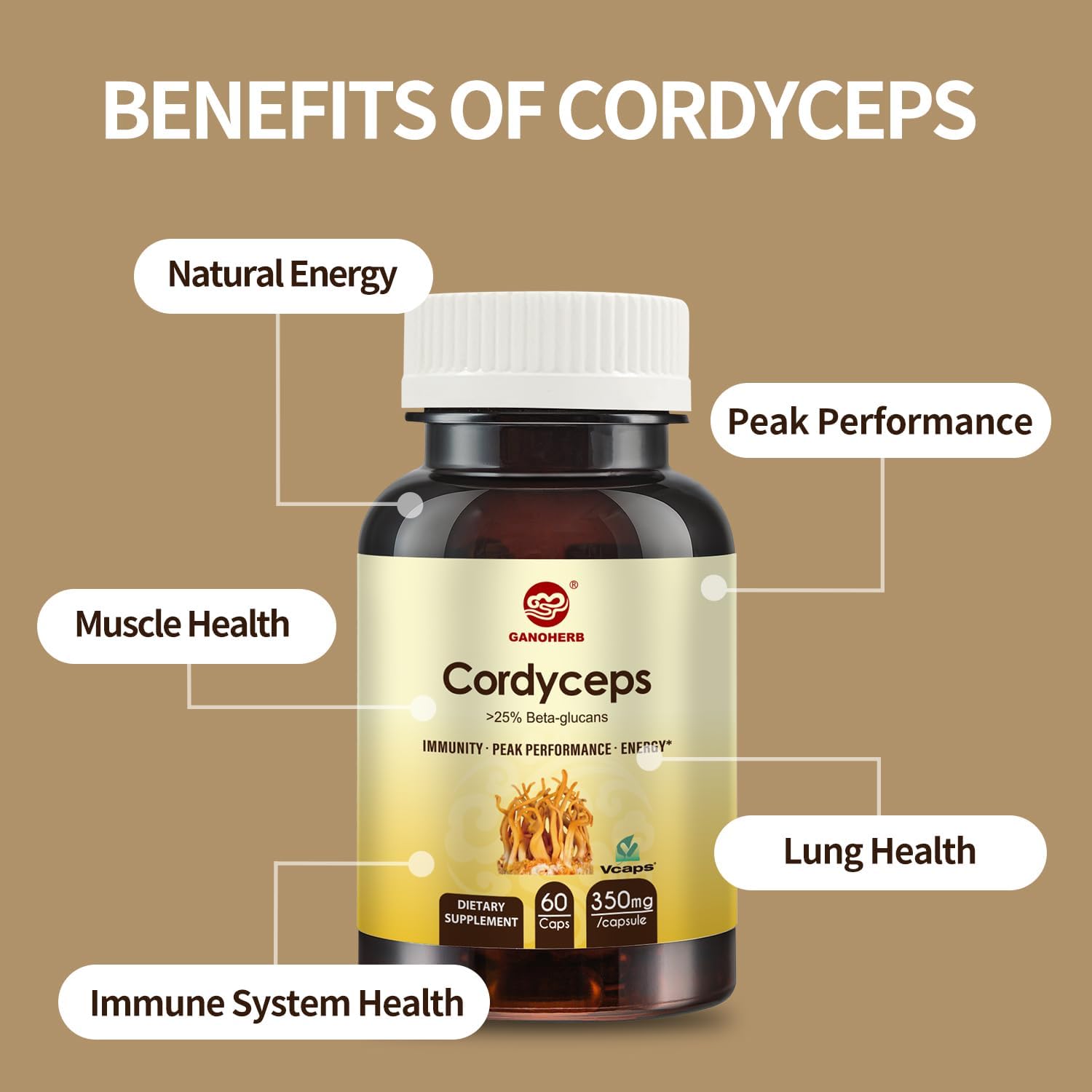 Organic Vegan Cordyceps Capsules with 31% Beta Glucan for Energy & Immune Support - 60 Count, 700mg Mushroom Extract Supplement
