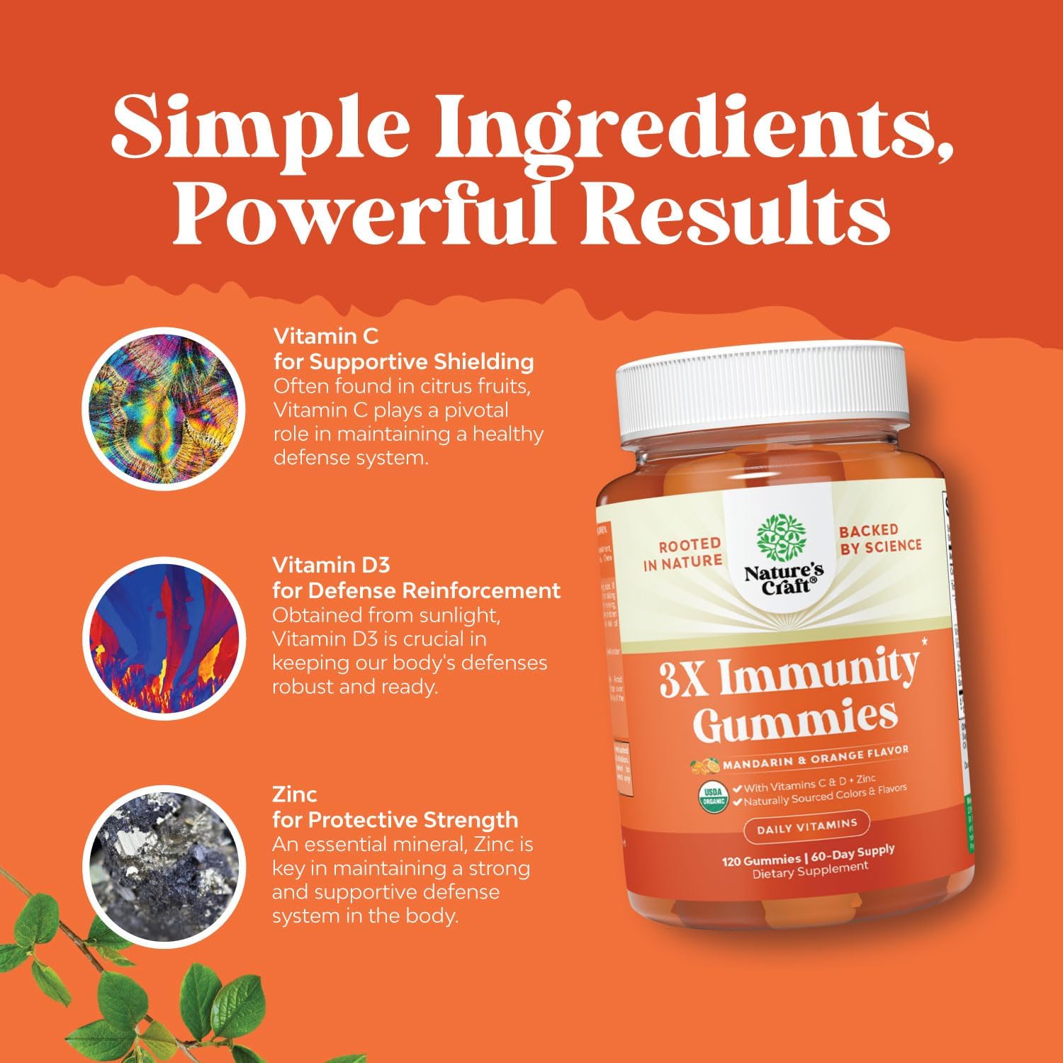 Organic Vegan Immune Support Gummies for Adults - Vitamin D3, Zinc, and Vitamin C Supplement - Gluten Free & Non-GMO - 60 Servings