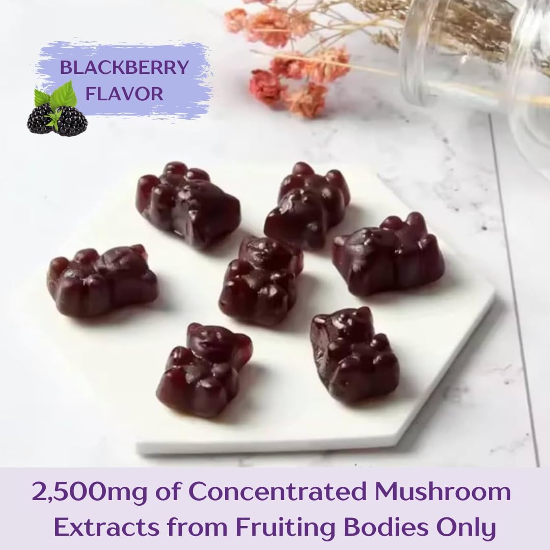 Organic Vegan Nootropic Mushroom Gummies with Lion's Mane & Ashwagandha - Brain Focus, Energy, Mood, Stamina - 10 Mushroom Blend - 90 Count