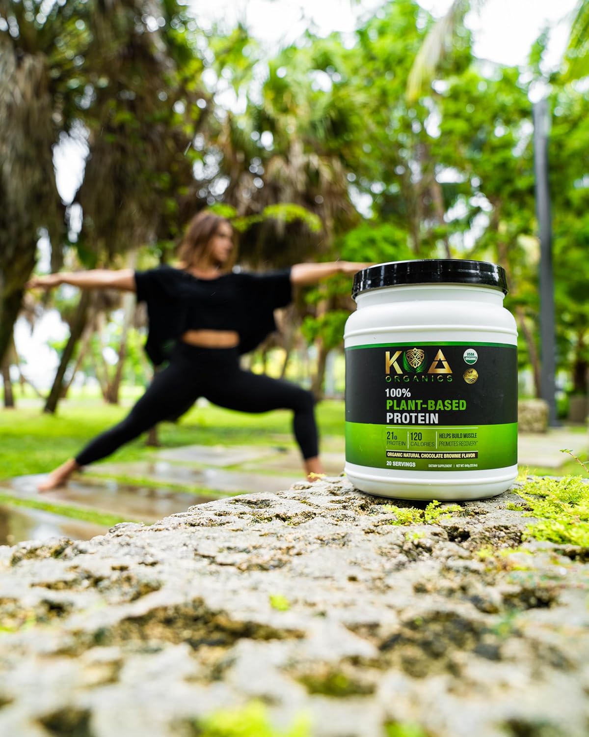 Organic Vegan Protein Powder in Gourmet Chocolate Brownie Flavor - 21g of Plant-Based Protein, 120 Calories - USDA Certified, Non-GMO, Gluten Free, Sugar Free - 640g