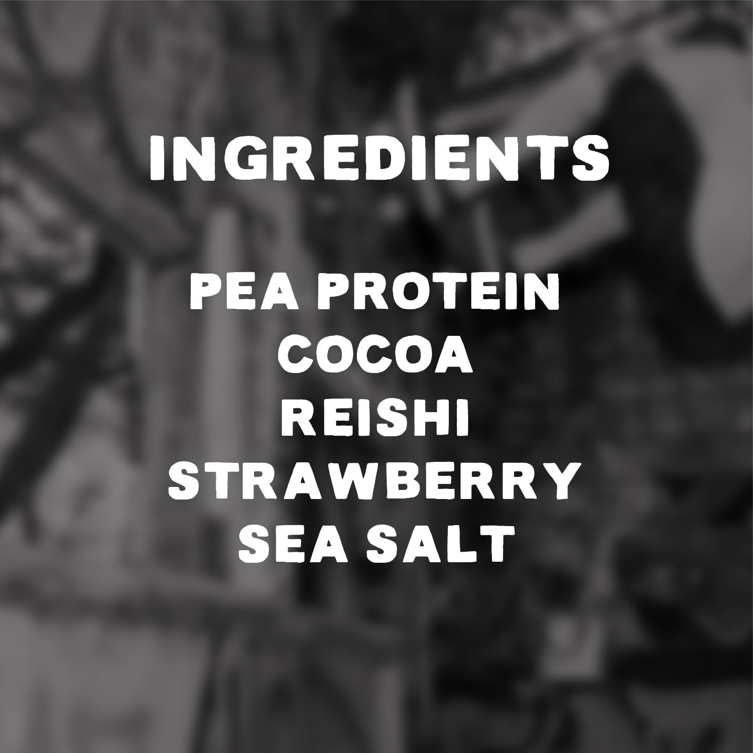 Organic Vegan Protein Powder with 21g Protein per Serving, 1080g / 30 Servings, Plastic-Free Packaging