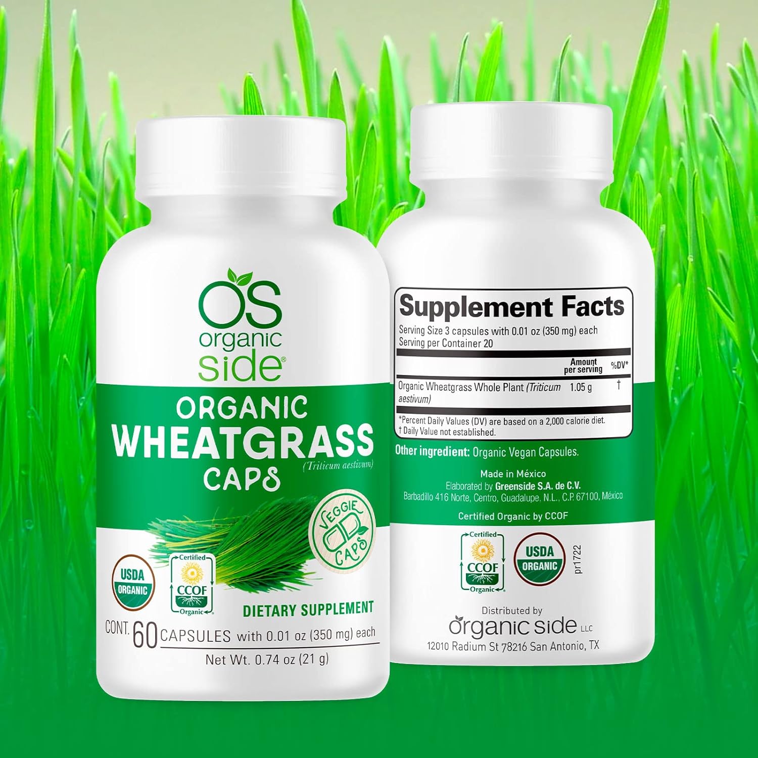 Organic Wheatgrass Capsules - 60 Count | USDA Certified, Non-GMO, Vegan Supplement for Natural Energy Boost & Immune Support