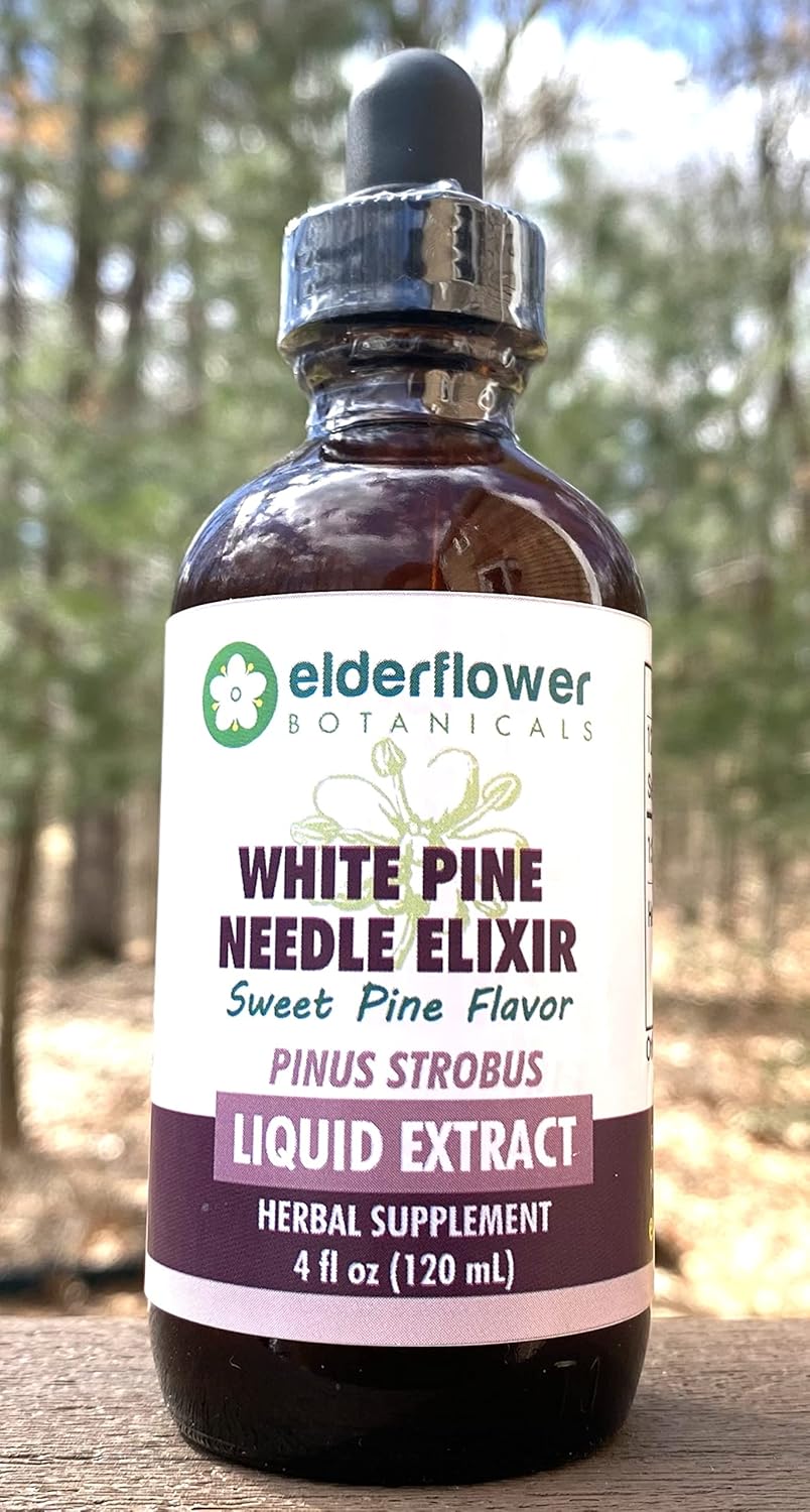 Organic White Pine Needle Elixir with Elderflower Botanicals, Sweet Pine Flavor, Sugar-Free Extract, High in Shikimic Acid - 4 Fl Oz