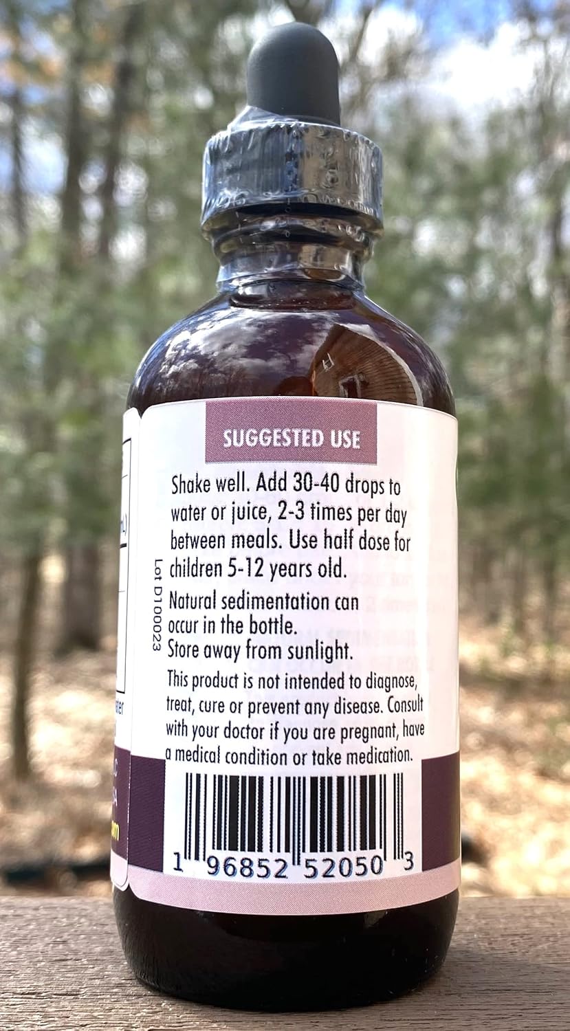 Organic White Pine Needle Elixir with Elderflower Botanicals, Sweet Pine Flavor, Sugar-Free Extract, High in Shikimic Acid - 4 Fl Oz