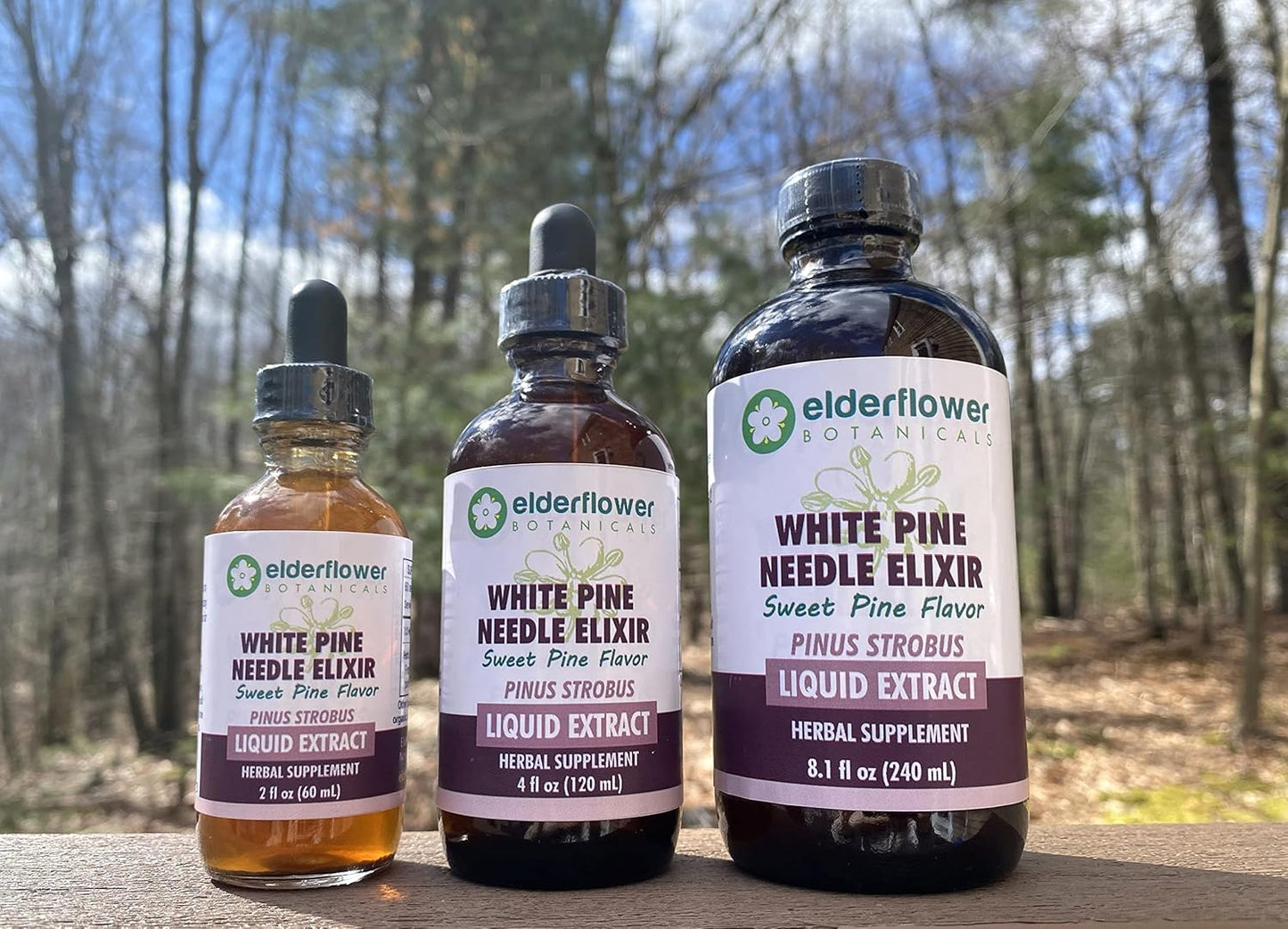 Organic White Pine Needle Elixir with Elderflower Botanicals, Sweet Pine Flavor, Sugar-Free Extract, High in Shikimic Acid - 4 Fl Oz