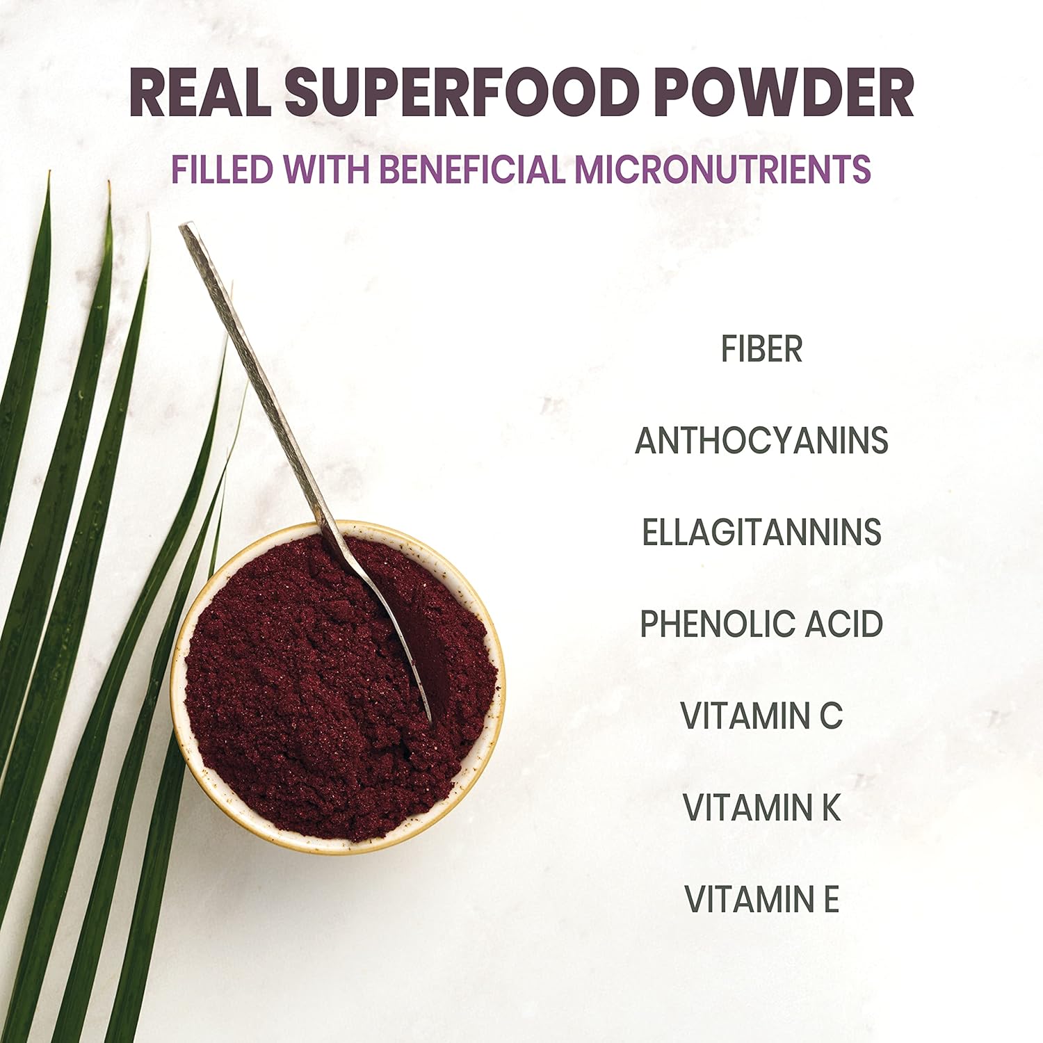 Organic Wild Bilberry Extract and Black Red Raspberry Powders Bundle - 3.4oz Bottle and 5 Ounce Bag - for Eyes, Baking, and Smoothies