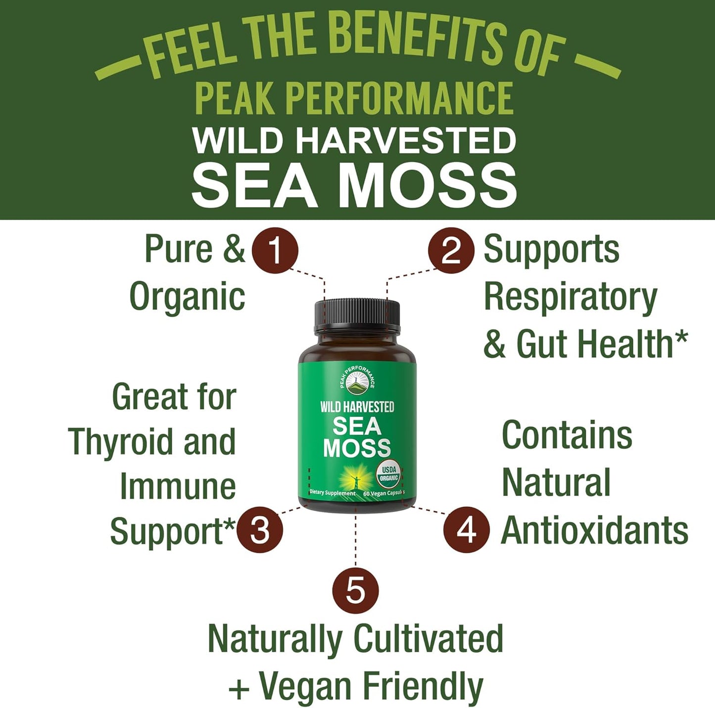 Organic Wild Harvested Sea Moss Capsules - 100% Raw Irish SeaMoss Supplement for Gut, Respiratory & Immune Support