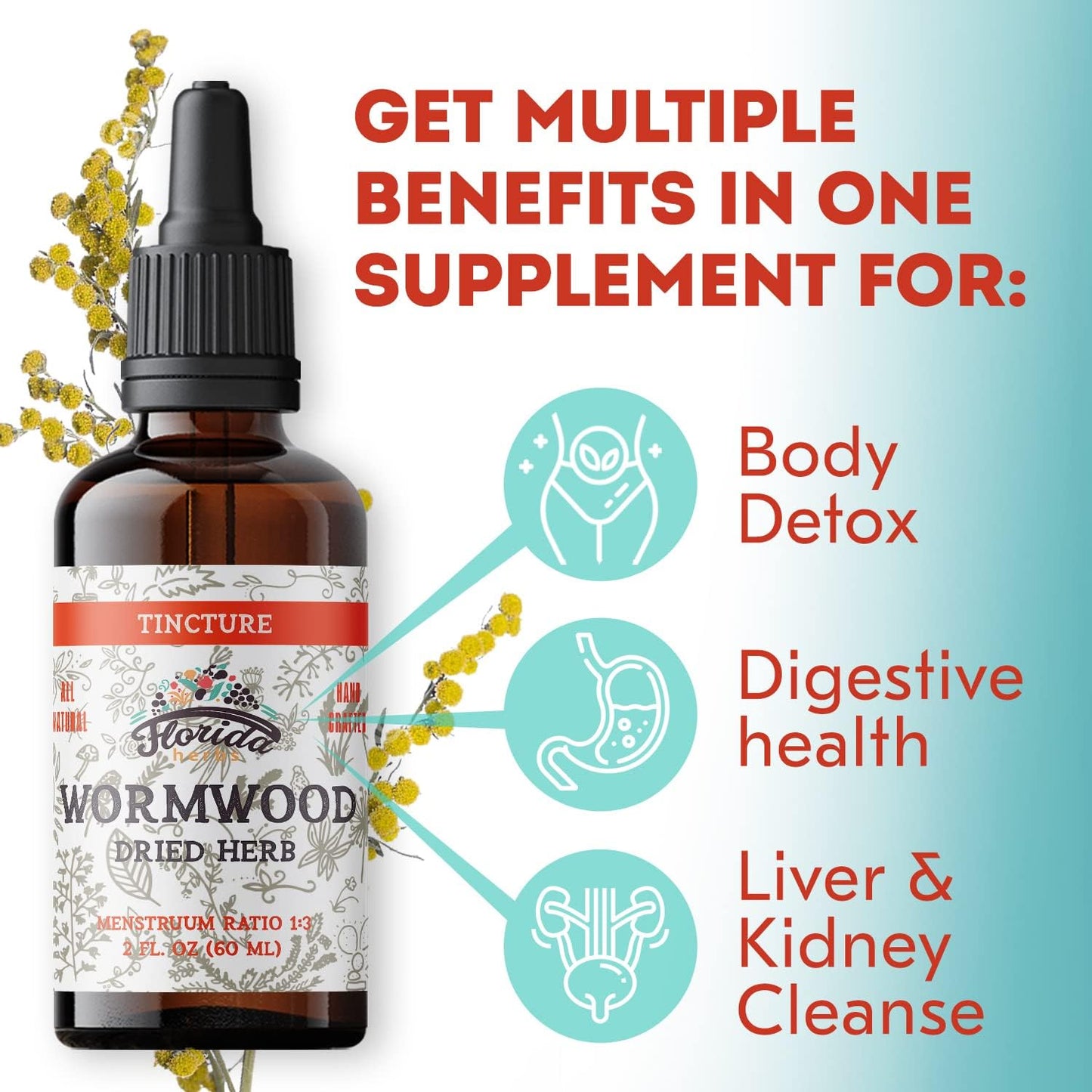 Organic Wormwood Tincture for Intestinal and Digestive Cleanse - Detox Supplement - Made in USA - 2 Fl Oz