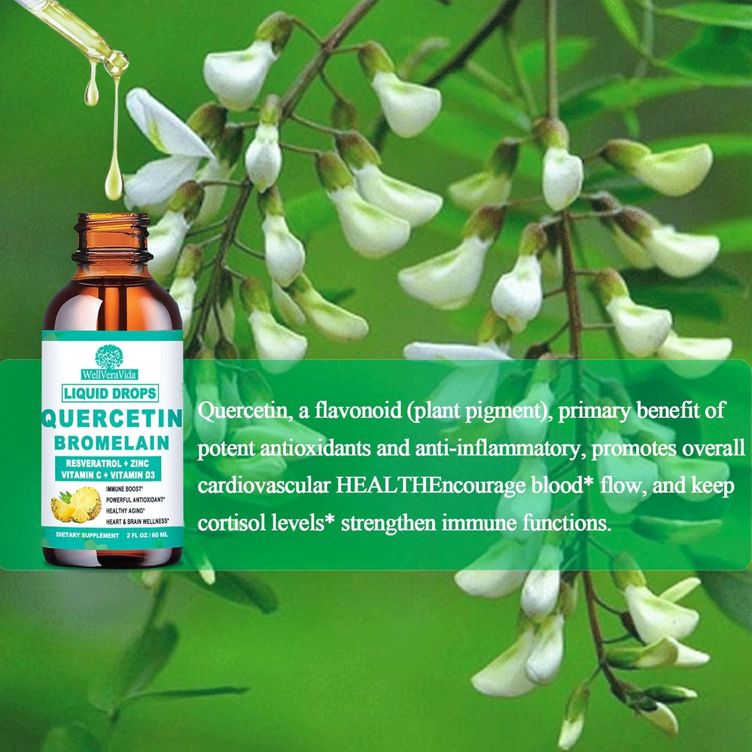 Organic Zinc Quercetin Liquid Drops with Bromelain - Immune Support & Antioxidant Formula, 4X Stronger - 1000mg Quercetin, 500mg Bromelain, Vitamin C D3 - Respiratory Health Booster