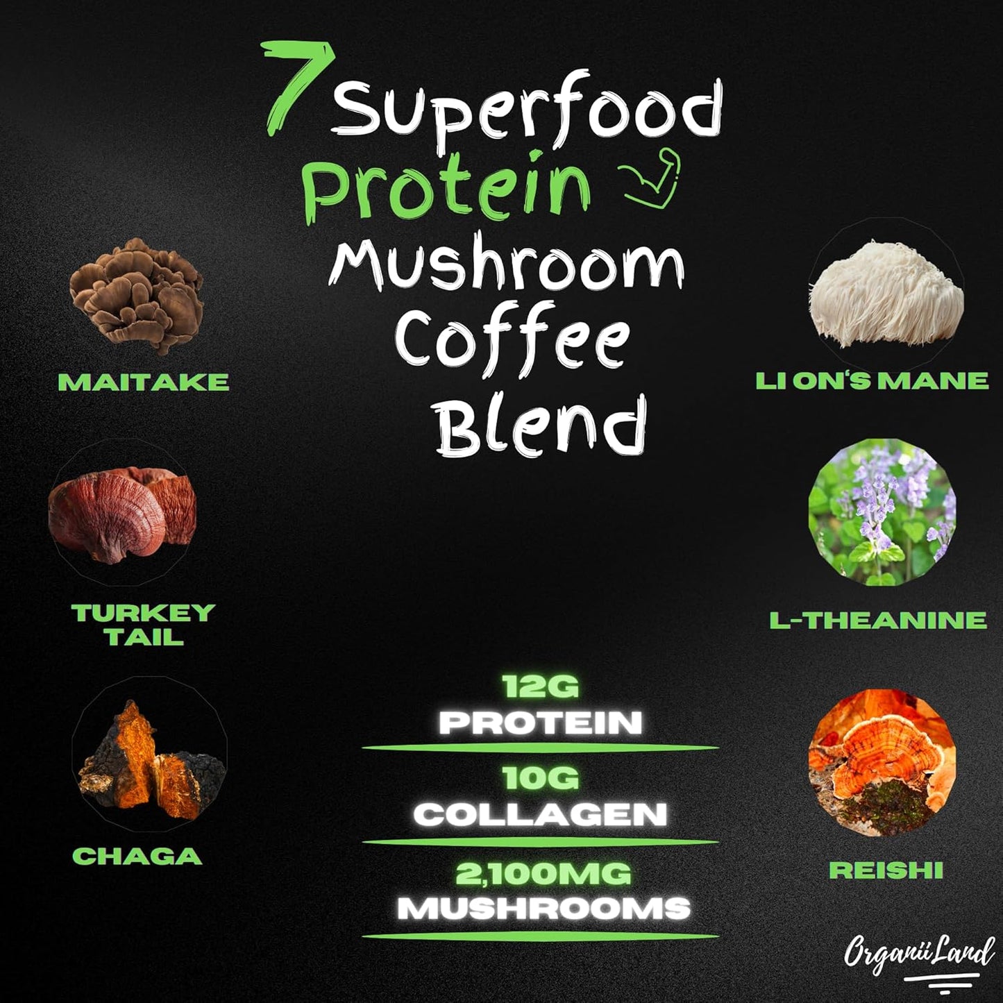 OrganiiLand Protein Mushroom Coffee: Ground Blend with Collagen, Lion's Mane, Chaga, Turkey Tail, Reishi, Maitake, L-Theanine for Focus, Energy, Immunity, and Digestion