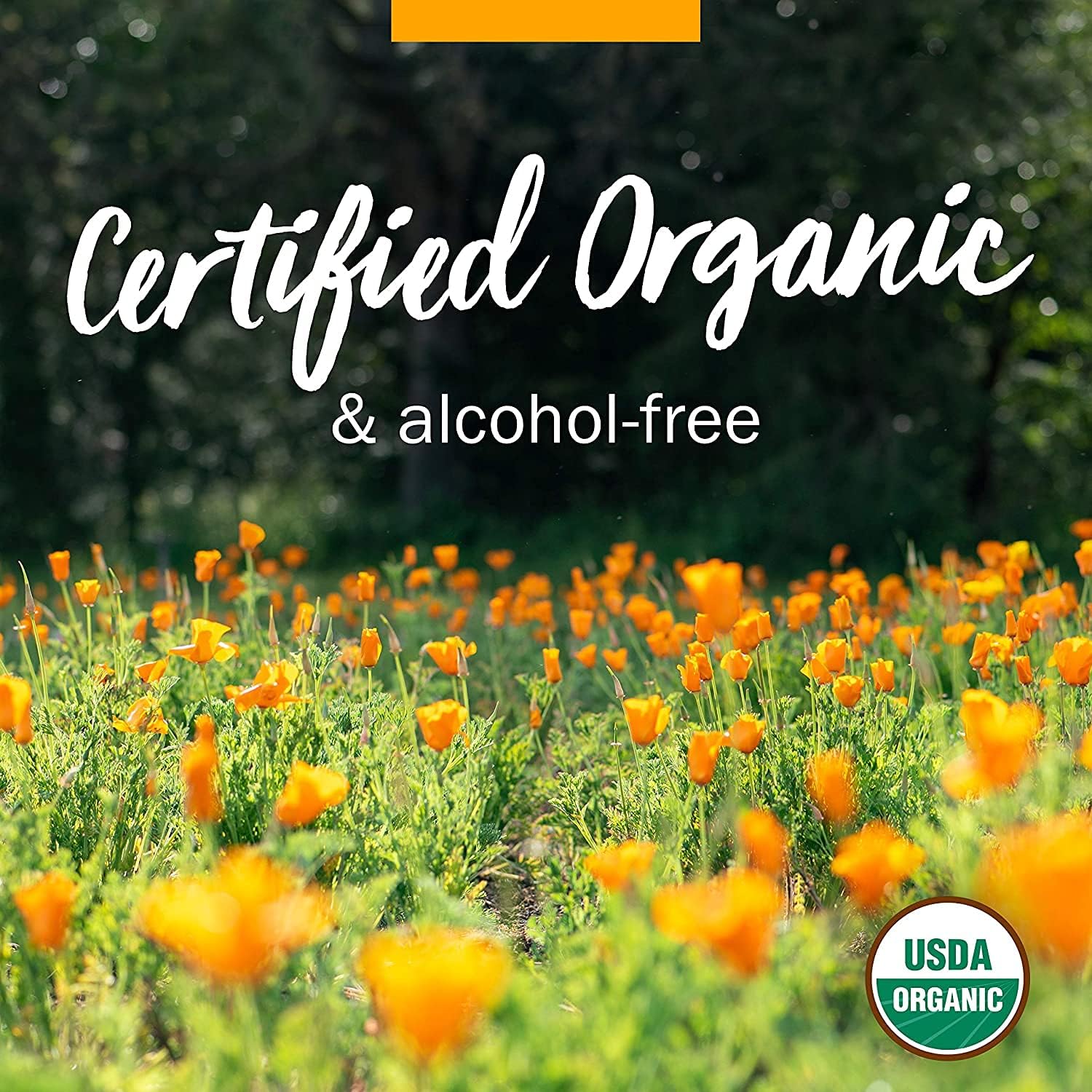 Pack of 2 Herb Pharm Certified Organic Elder Liquid Extract - 1 Ounce Each