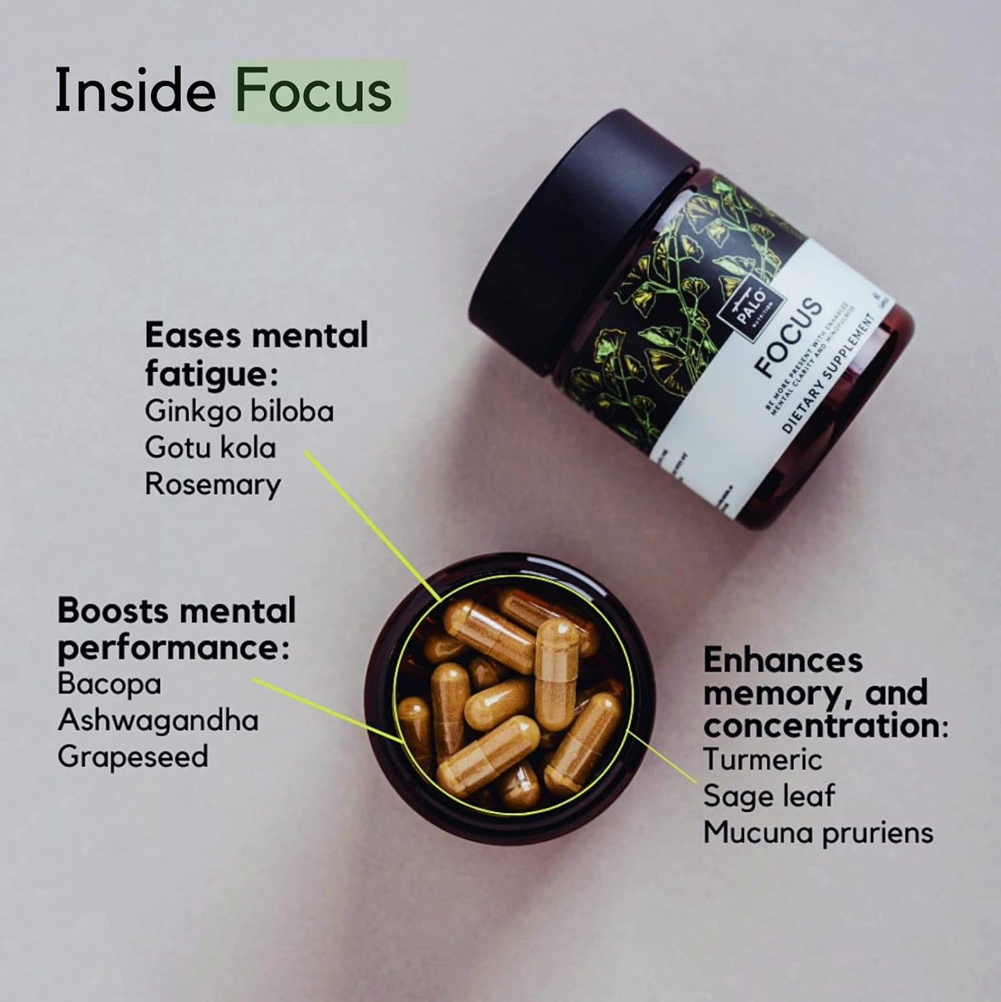 Palo Focus Nootropic Supplement for Memory, Focus, and Cognition - 60 Capsules with Ginkgo Biloba, Bacopa, and Ashwagandha