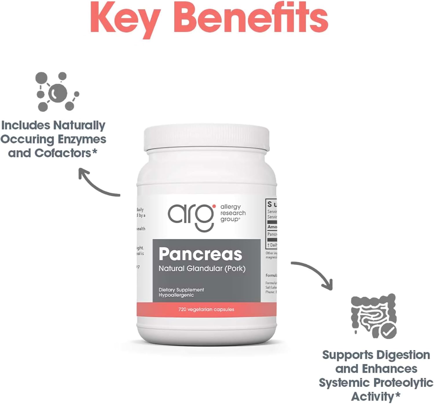 Pancreas Dietary Supplement by Allergy Research Group - Natural Pork Glandular Support, Vegetarian Capsules - 720 Count