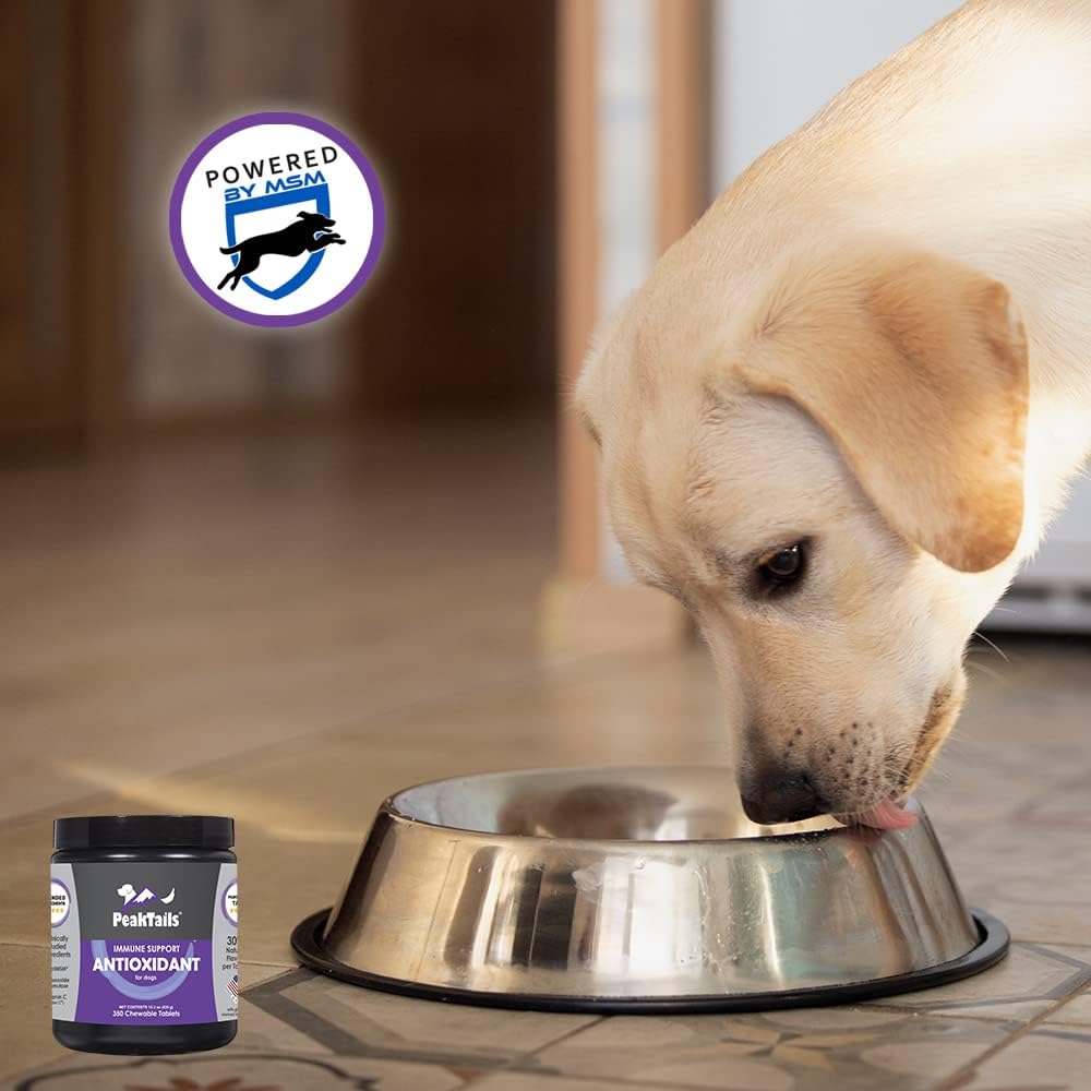 PeakTails Daily Defense Antioxidant Supplement for Dogs with MSM, Super Oxide Dismutase, Selenium, Vitamin C & E - Immune Support, Anti-Itch, Skin Allergies - 1,000 Chewable Tablets
