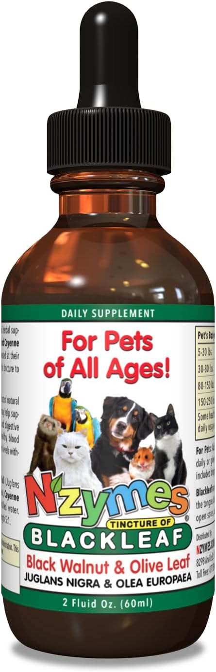 Pet-Friendly Nzymes BlackLeaf Tincture - Natural Relief for Pets