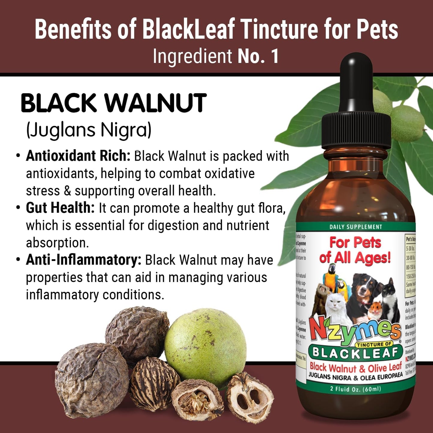 Pet-Friendly Nzymes BlackLeaf Tincture - Natural Relief for Pets